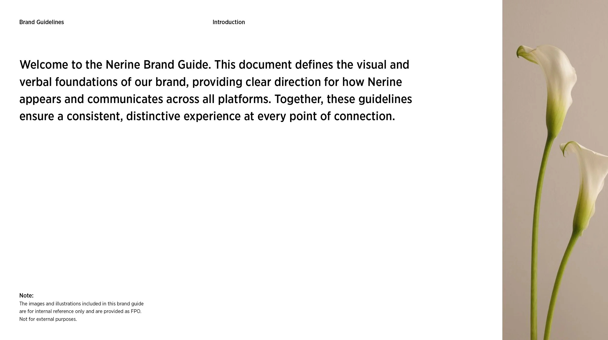 nerine-brand-guidelines3.jpg