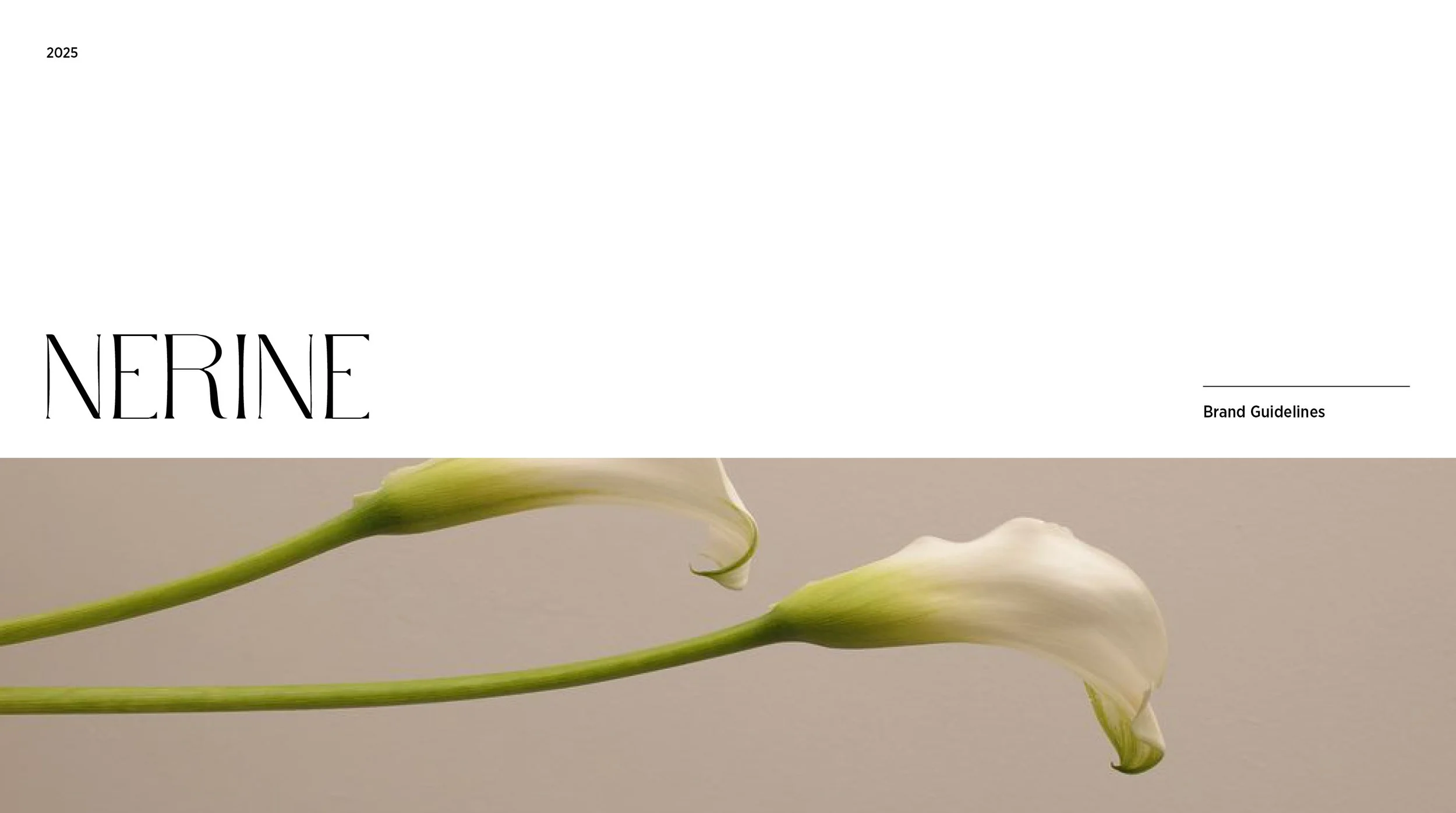 nerine-brand-guidelines.jpg