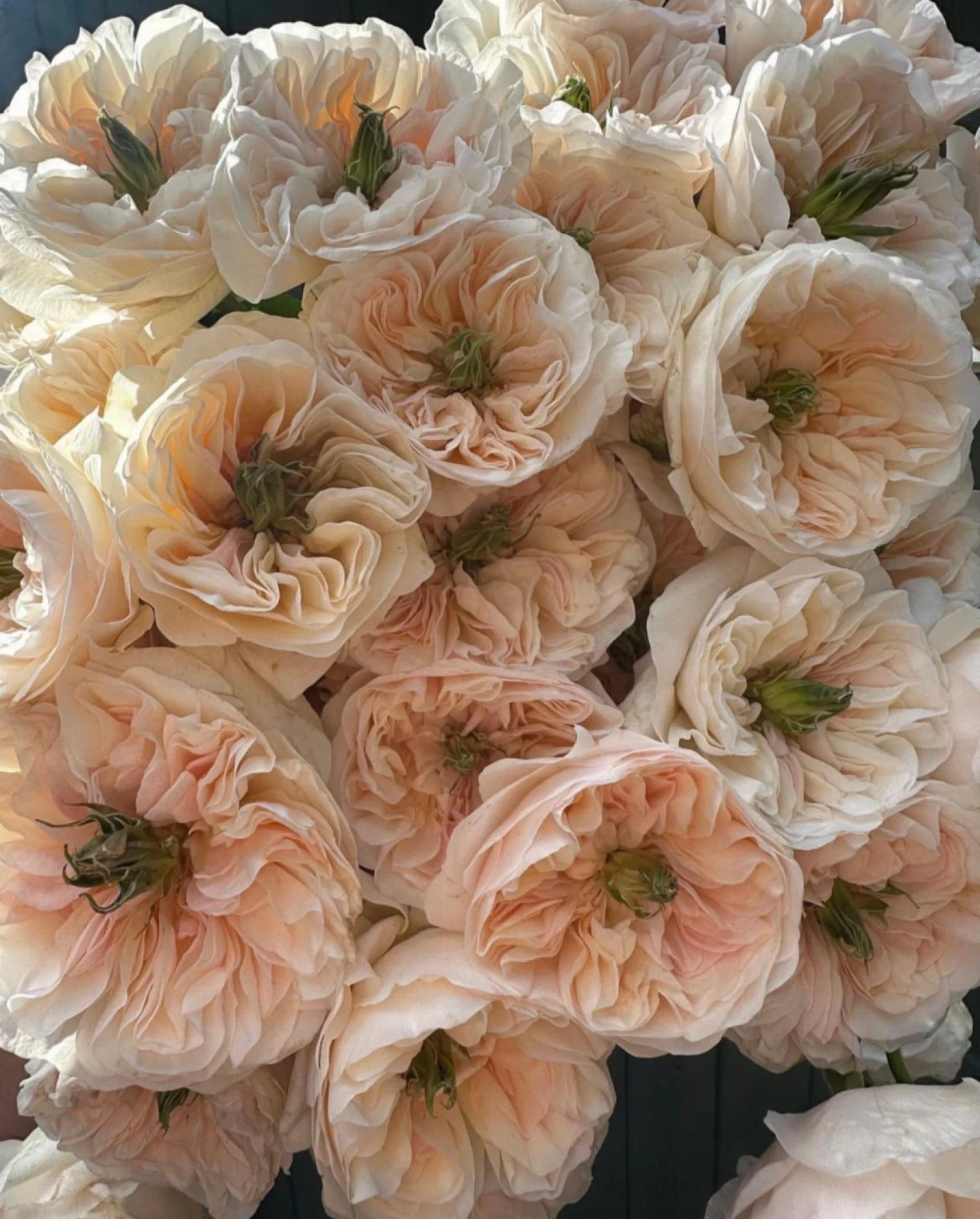 Just a glimpse of Monday morning beauty for your busy day at the office 🍃
.⁣
.⁣
.⁣
.⁣
#marketing #publicist #floral #flatlay #publicity #prflow #publicrelations #branding #digitalagency #prlife #prmanagement #marketing101 #publicistswork #media #pr 