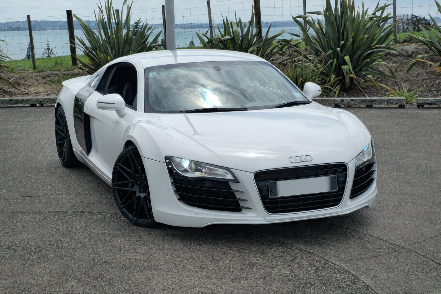 A white sports car with black wheels, parked outdoors near some plants and a fence, with a body of water in the background.