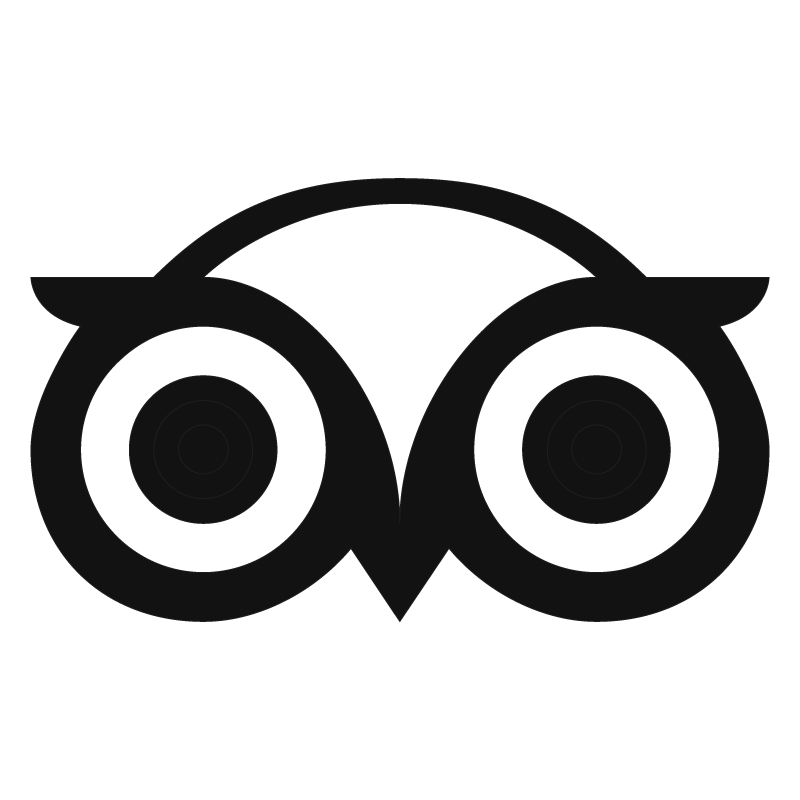 Icono de búho con ojos grandes y simétricos en estilo minimalista y en color negro