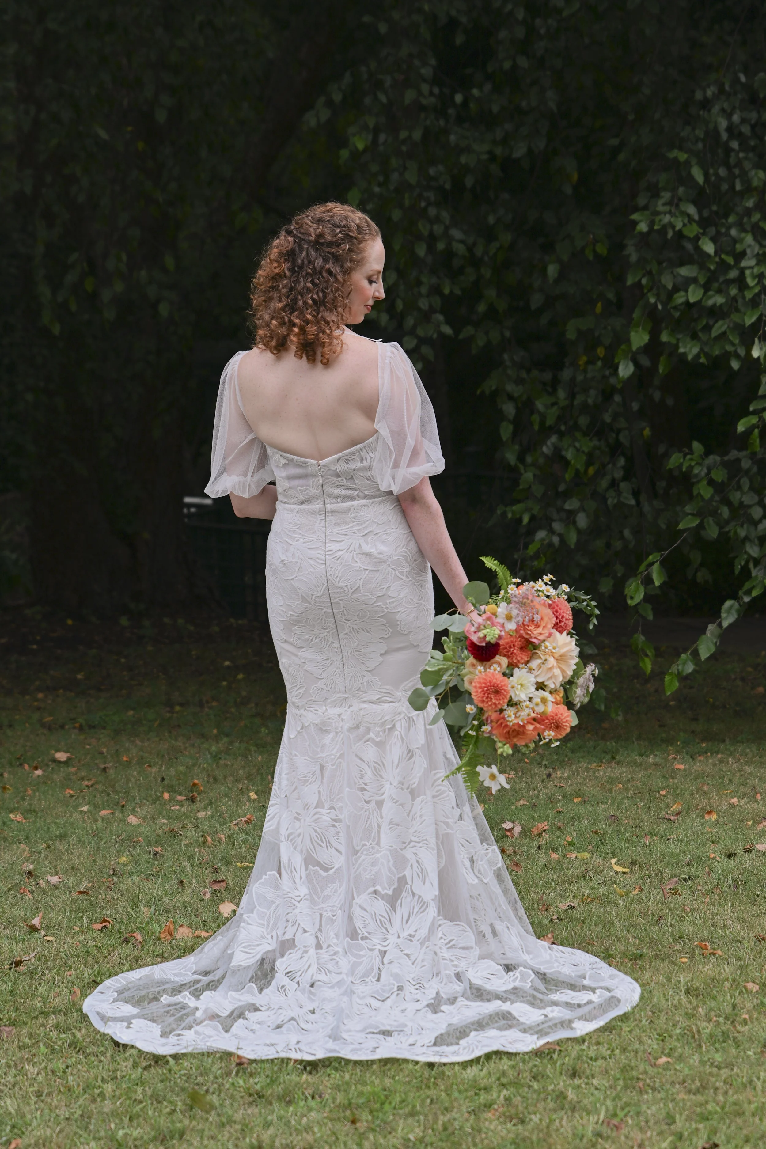 Weddings & Proposals