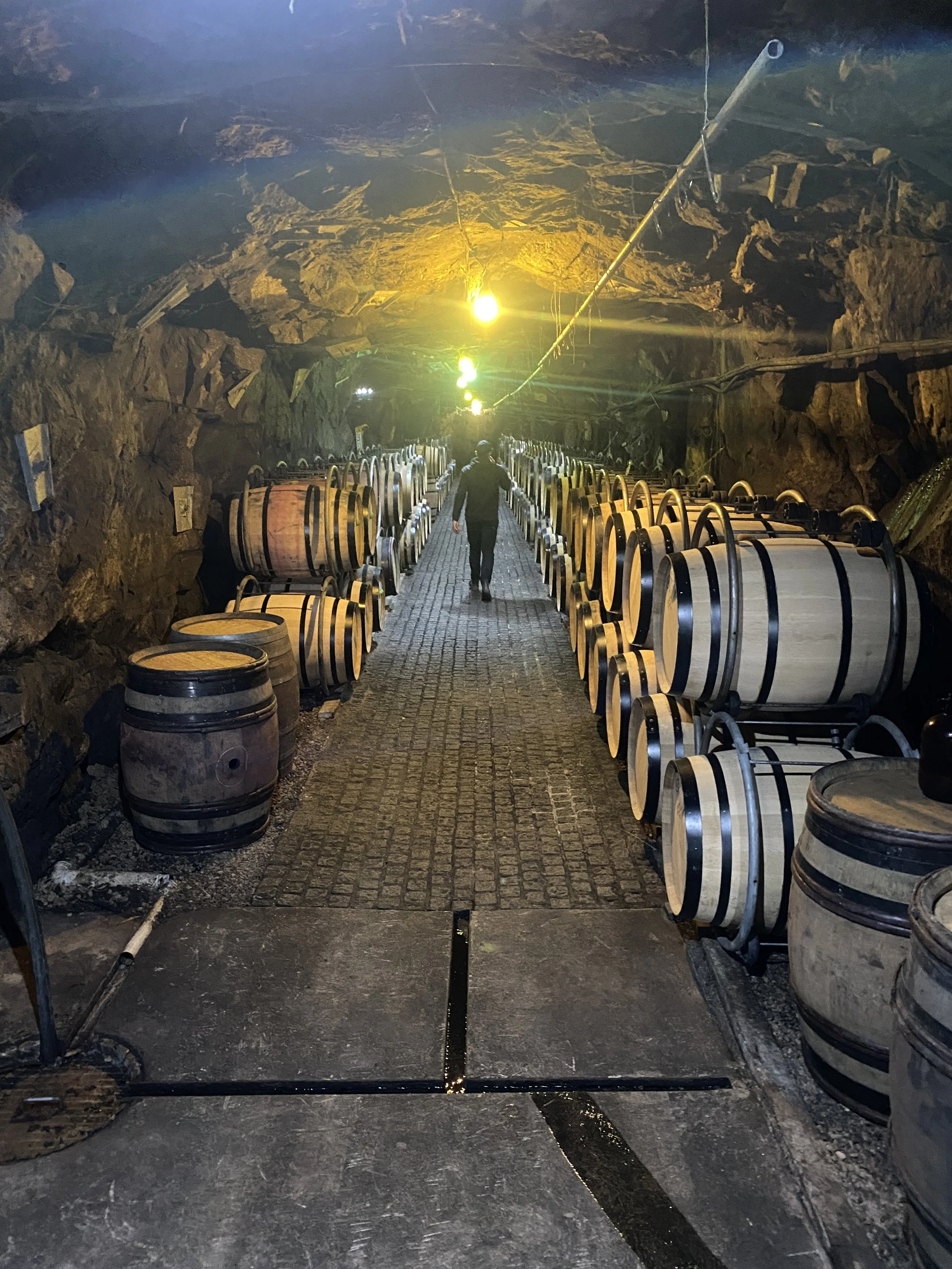A person walking through a tunnel lined with wooden barrels on both sides, with rocky walls and ceiling, illuminated by green and yellow lights.