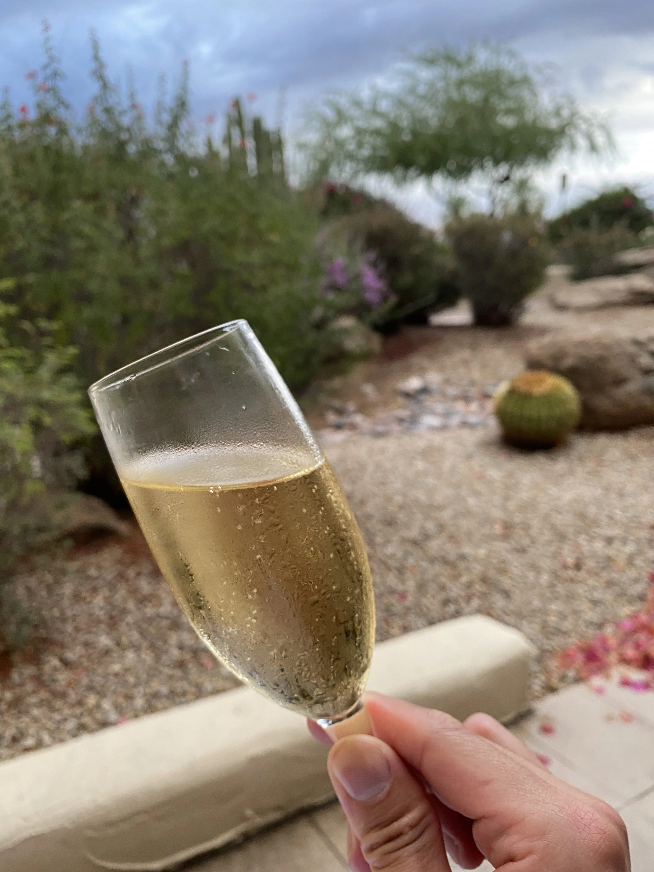 A hand holding a glass of champagne outdoors at sunset with desert plants and rocks in the background.
