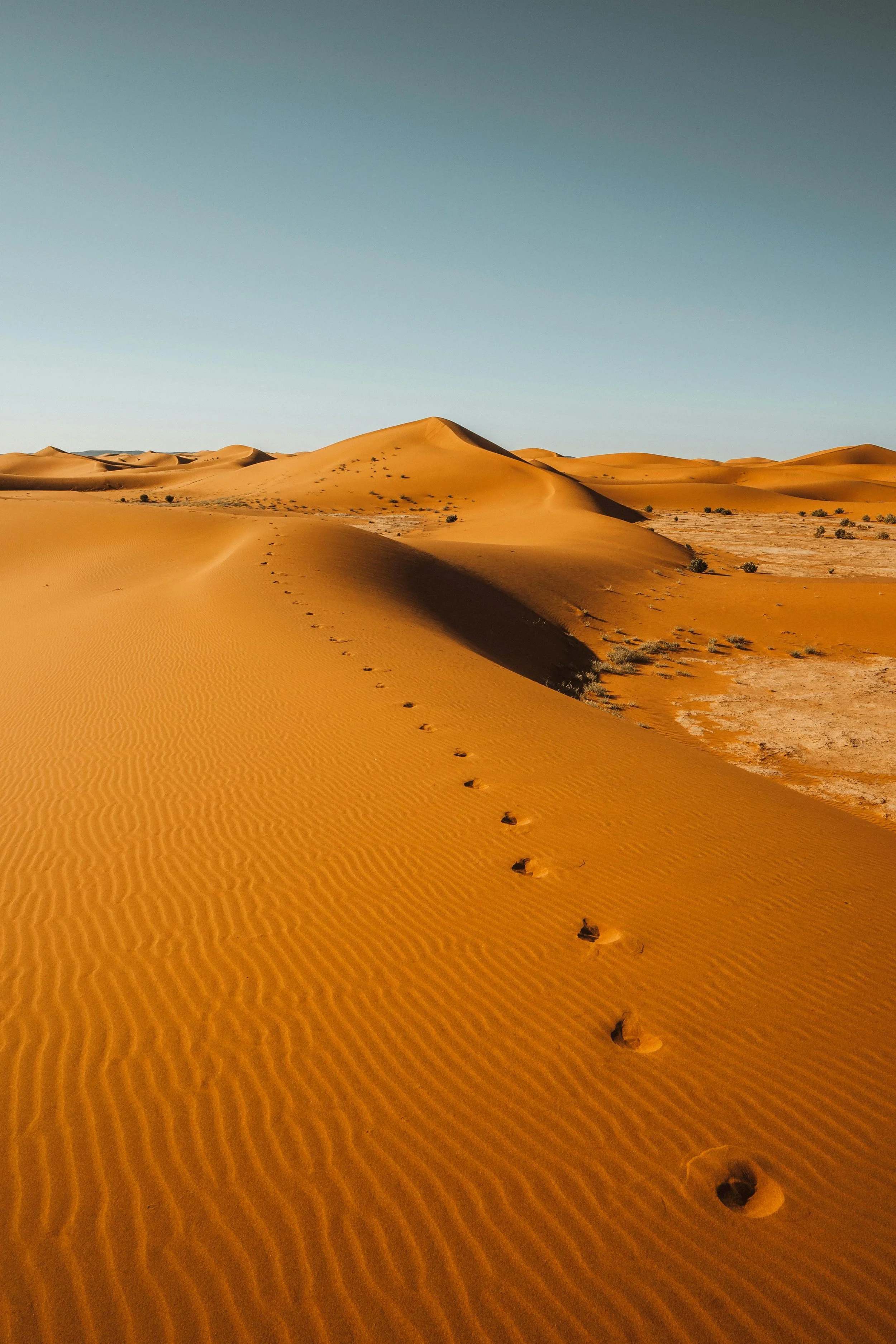 The Invisible Business Problem: You're Great at What You Do, But Nobody Knows It.