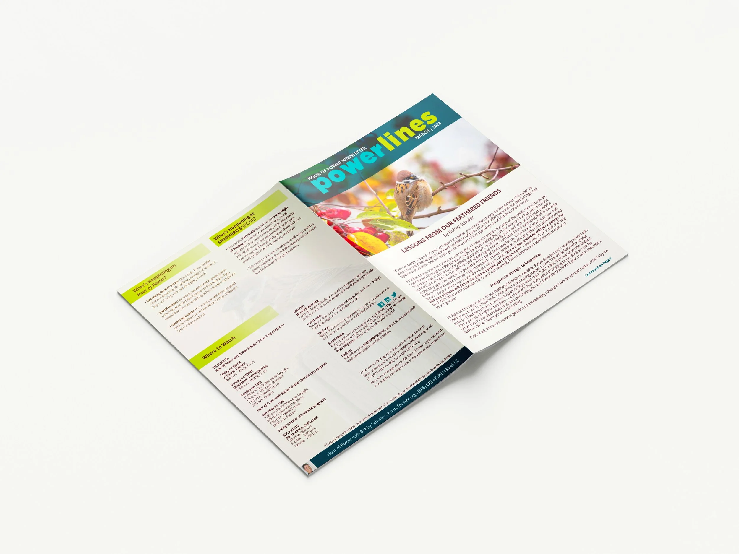 Powerlines Brochure Cover