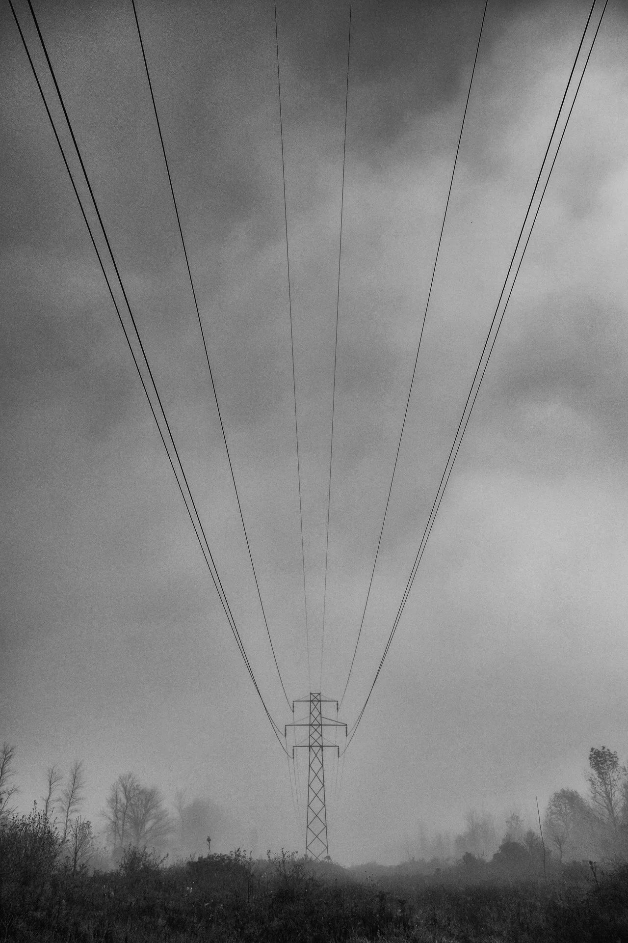 bw_centered_powerpole1920px.JPG