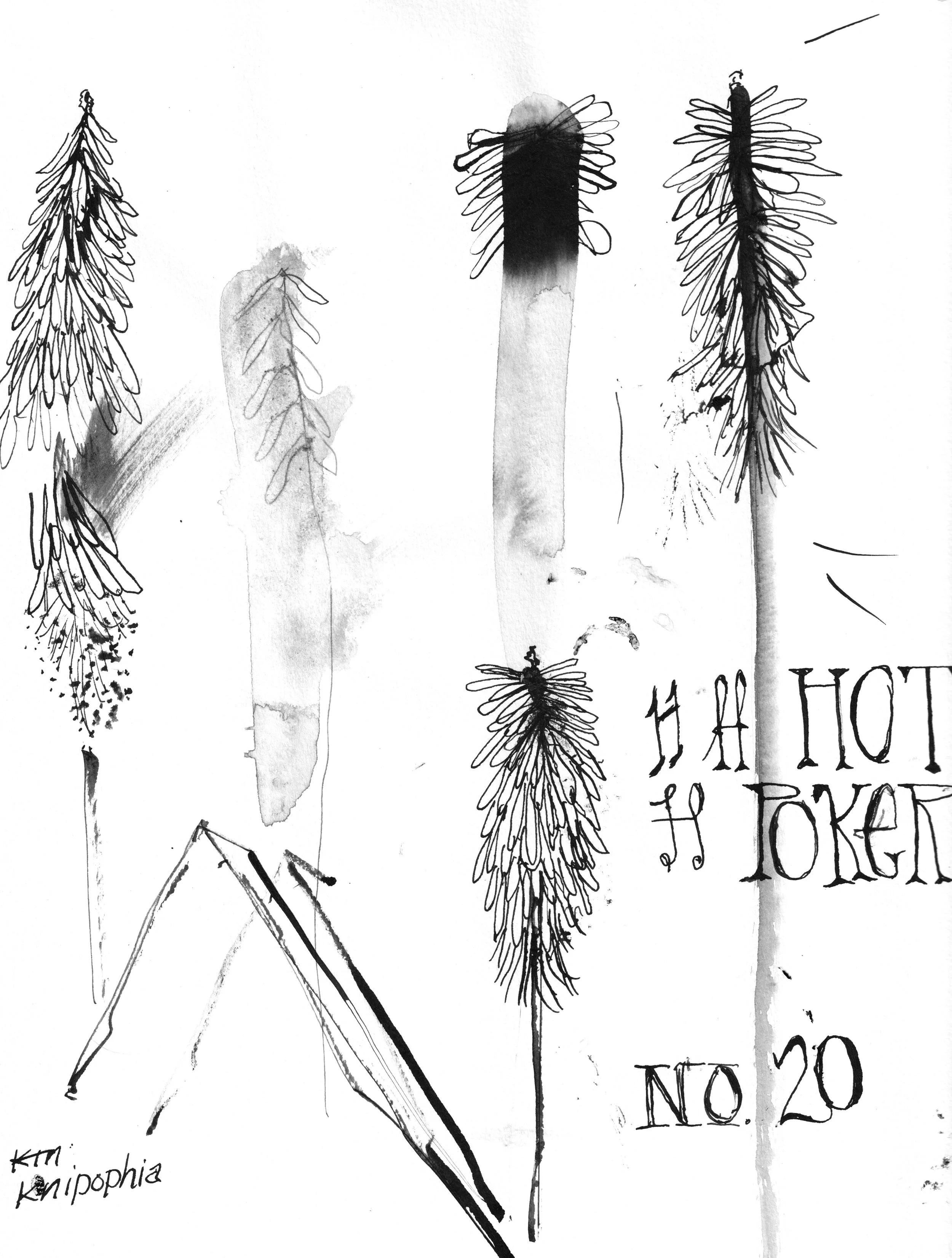 No. 0020 } Hot Poker