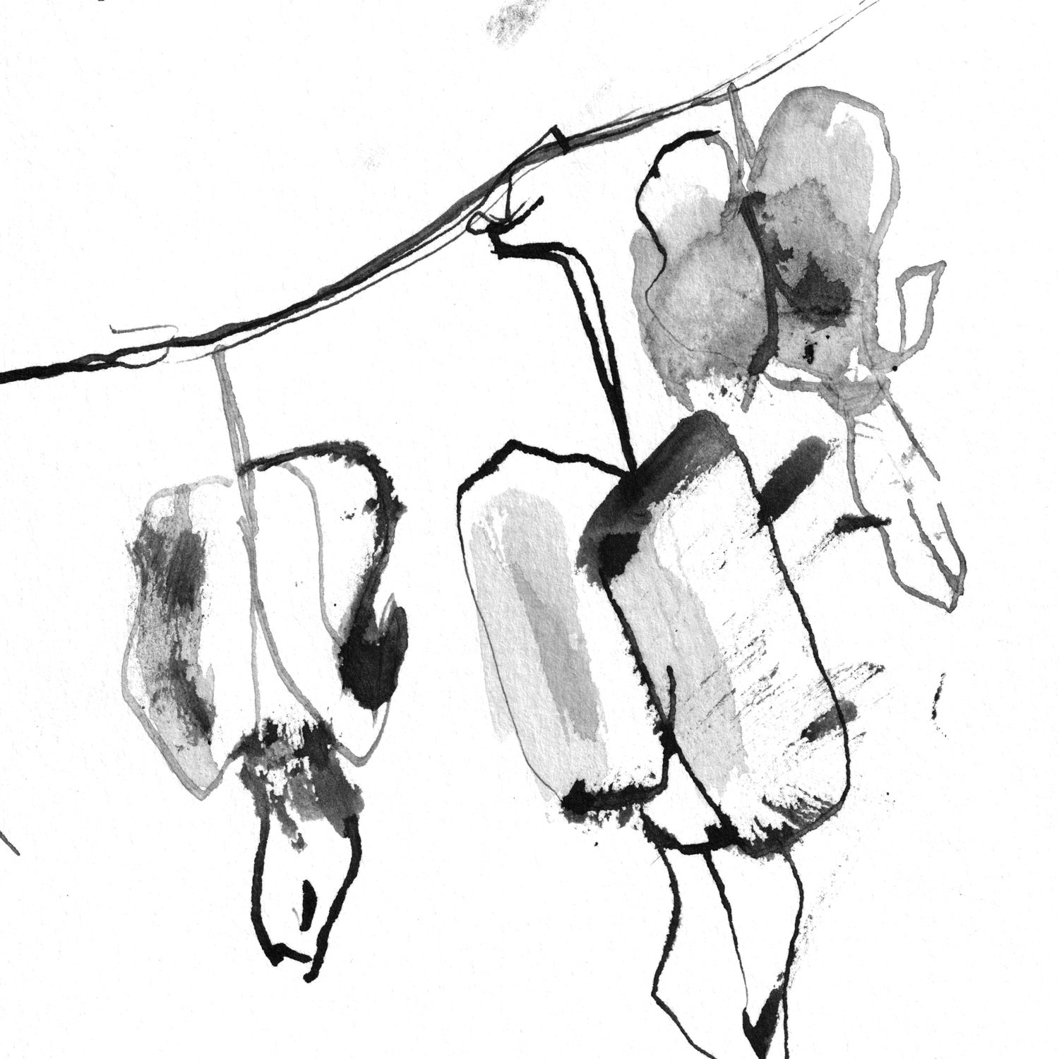 No. 0015 | Bleeding Heart