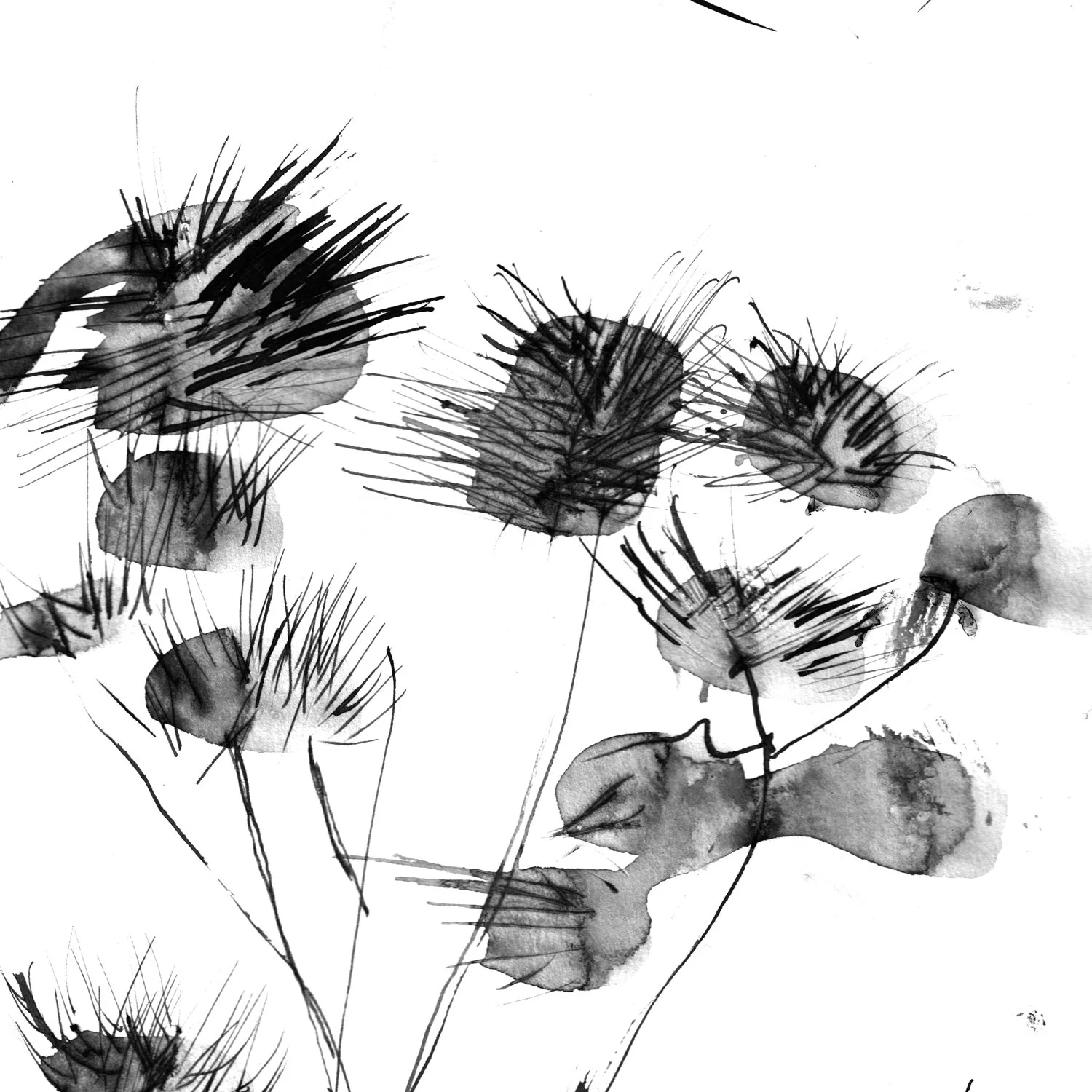 No. 0025 } (Not At All Like) Meadow Rue