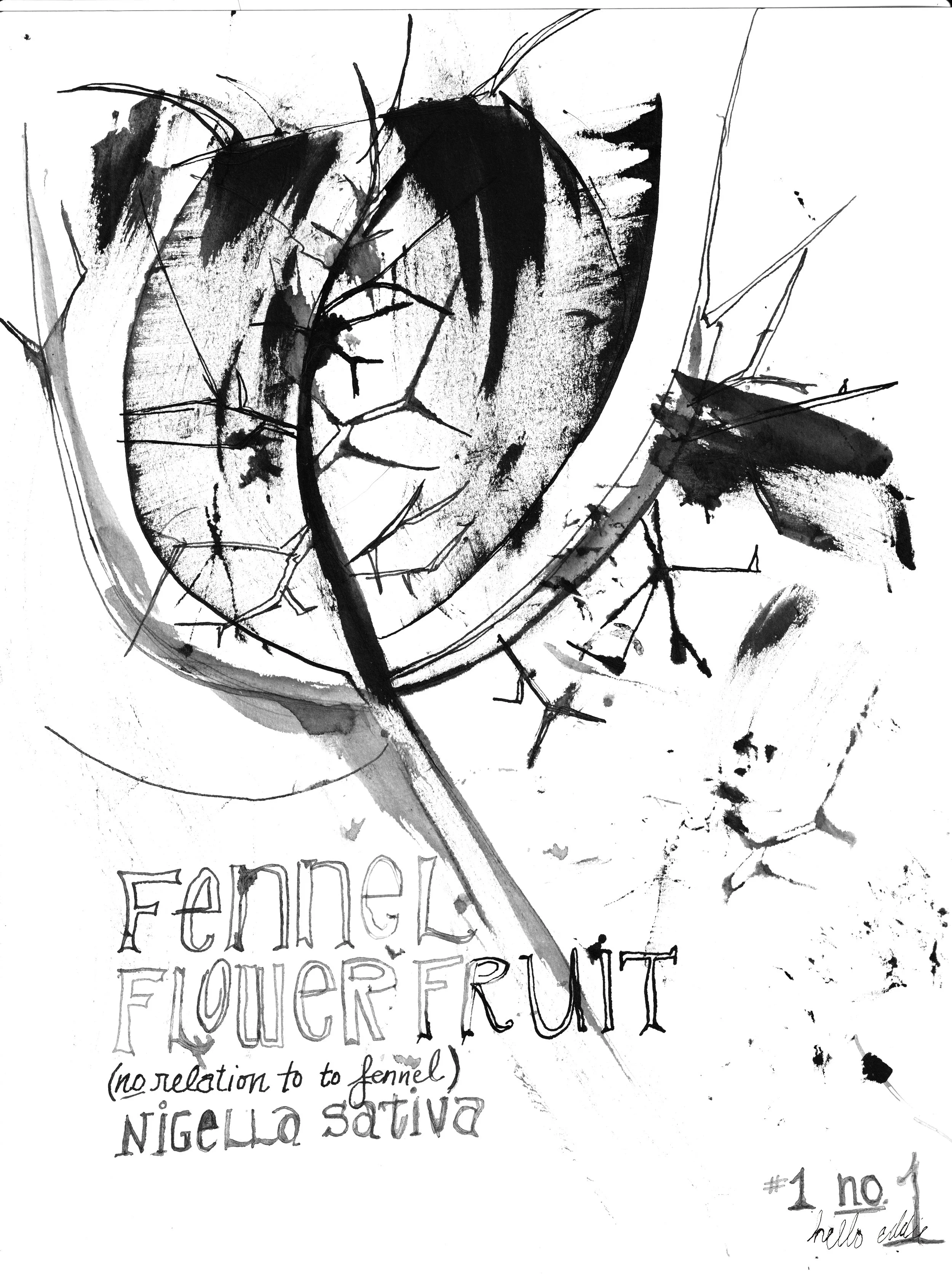 No. 0001 } Fennel Flower Fruit