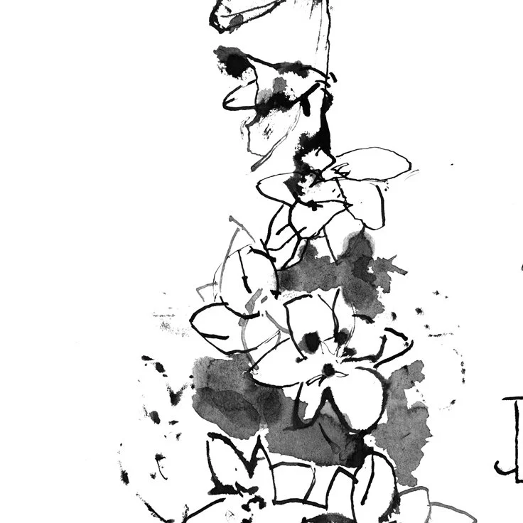 No. 0014 } Delphinium