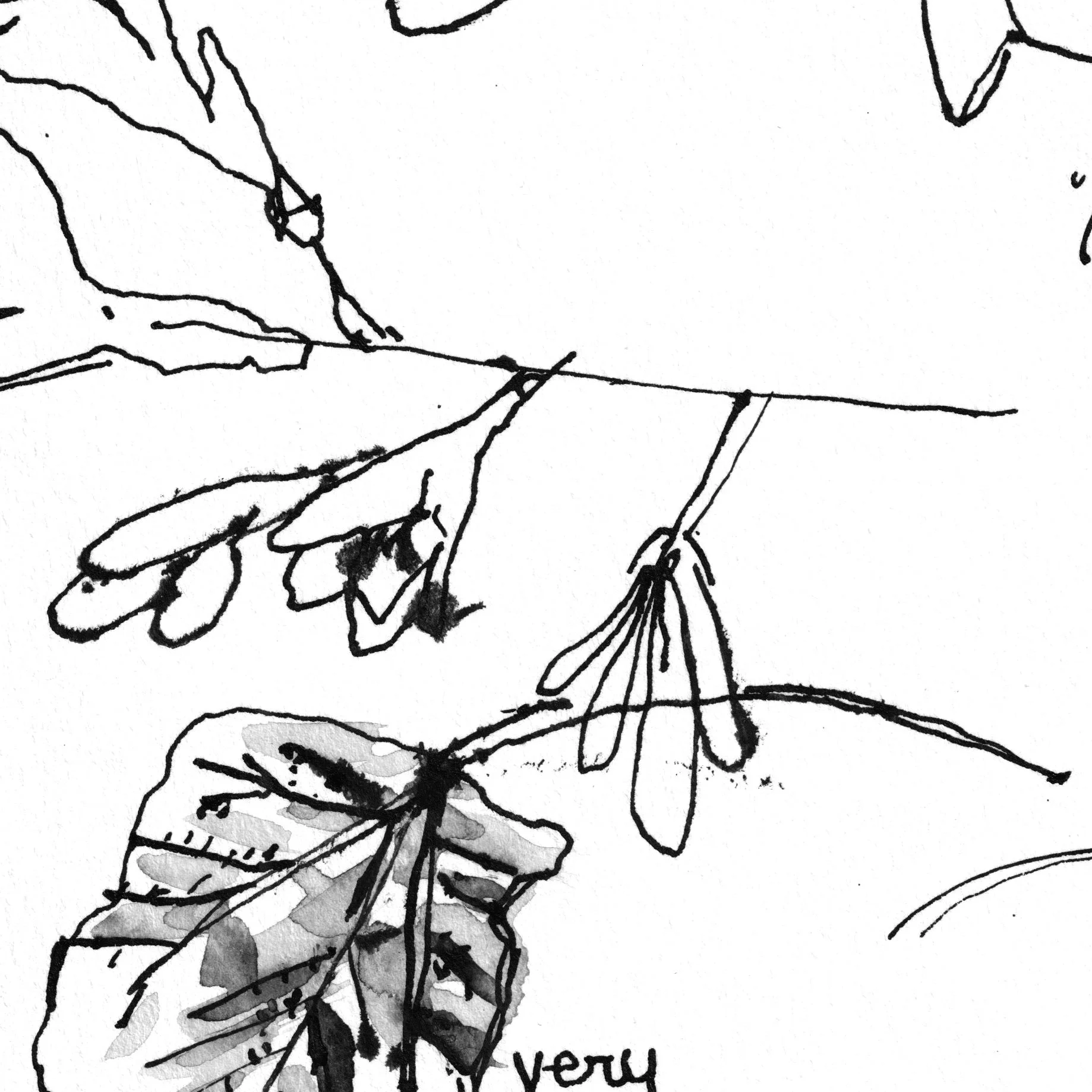 No. 0026 } Currant Flower