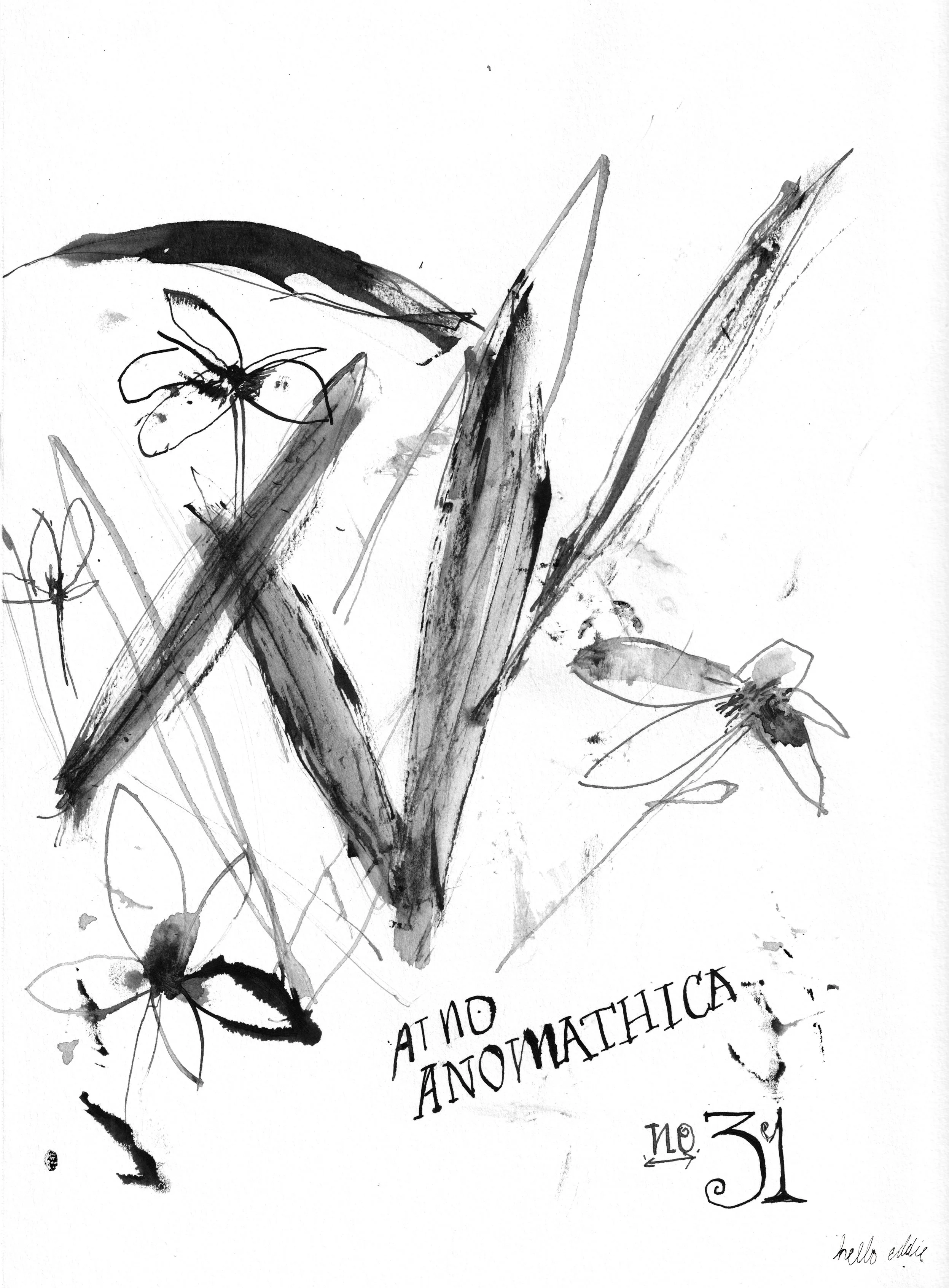 No. 0031 } Anomathica