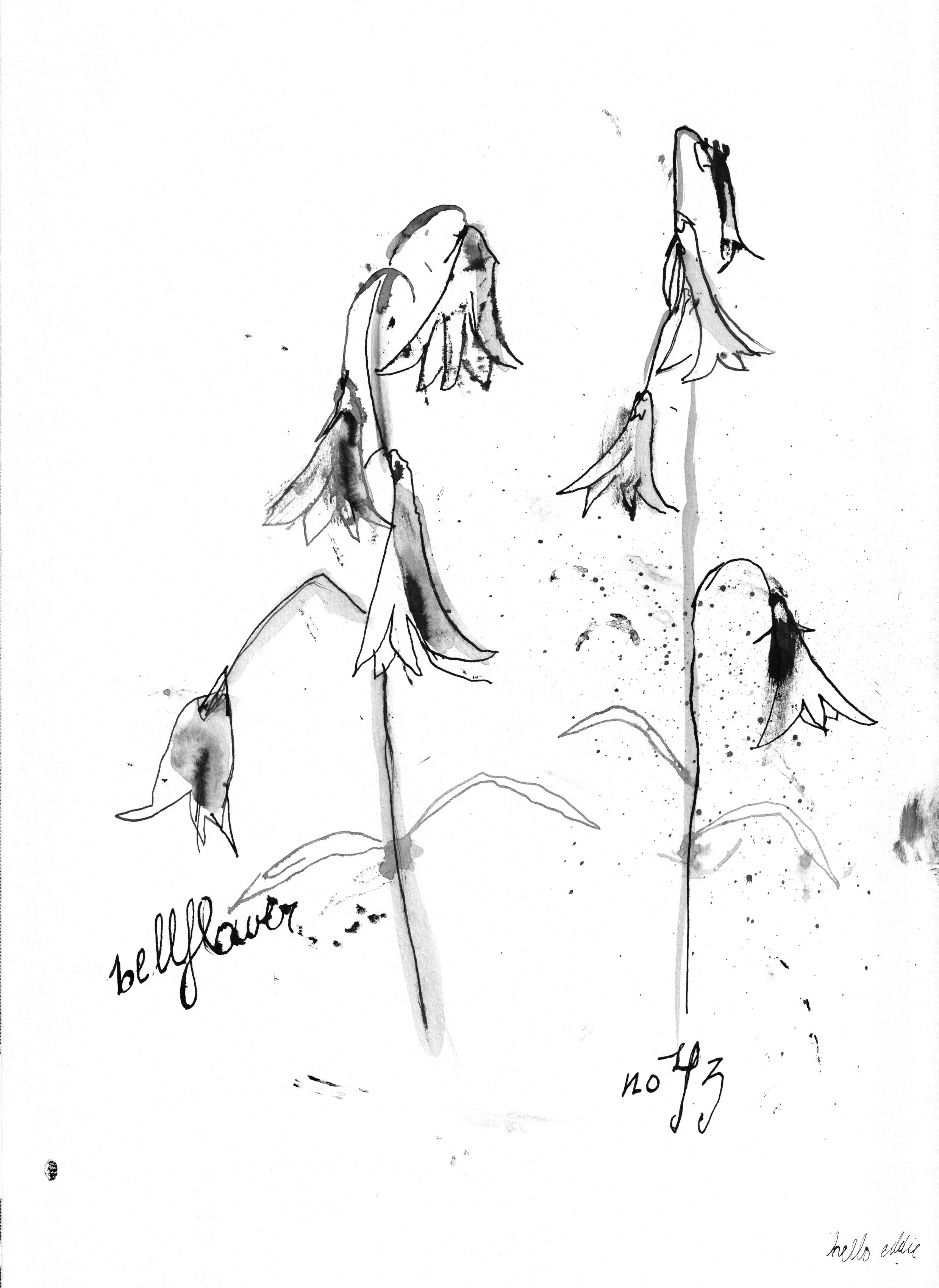 No. 0043 } Bellflower