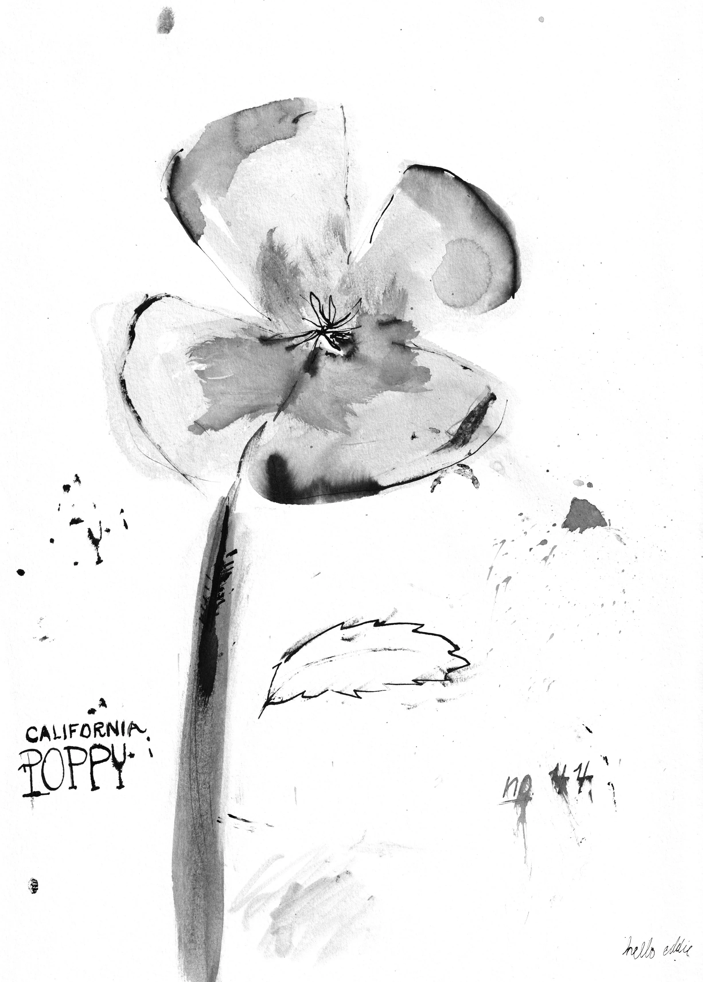 No. 0044 } California Poppy