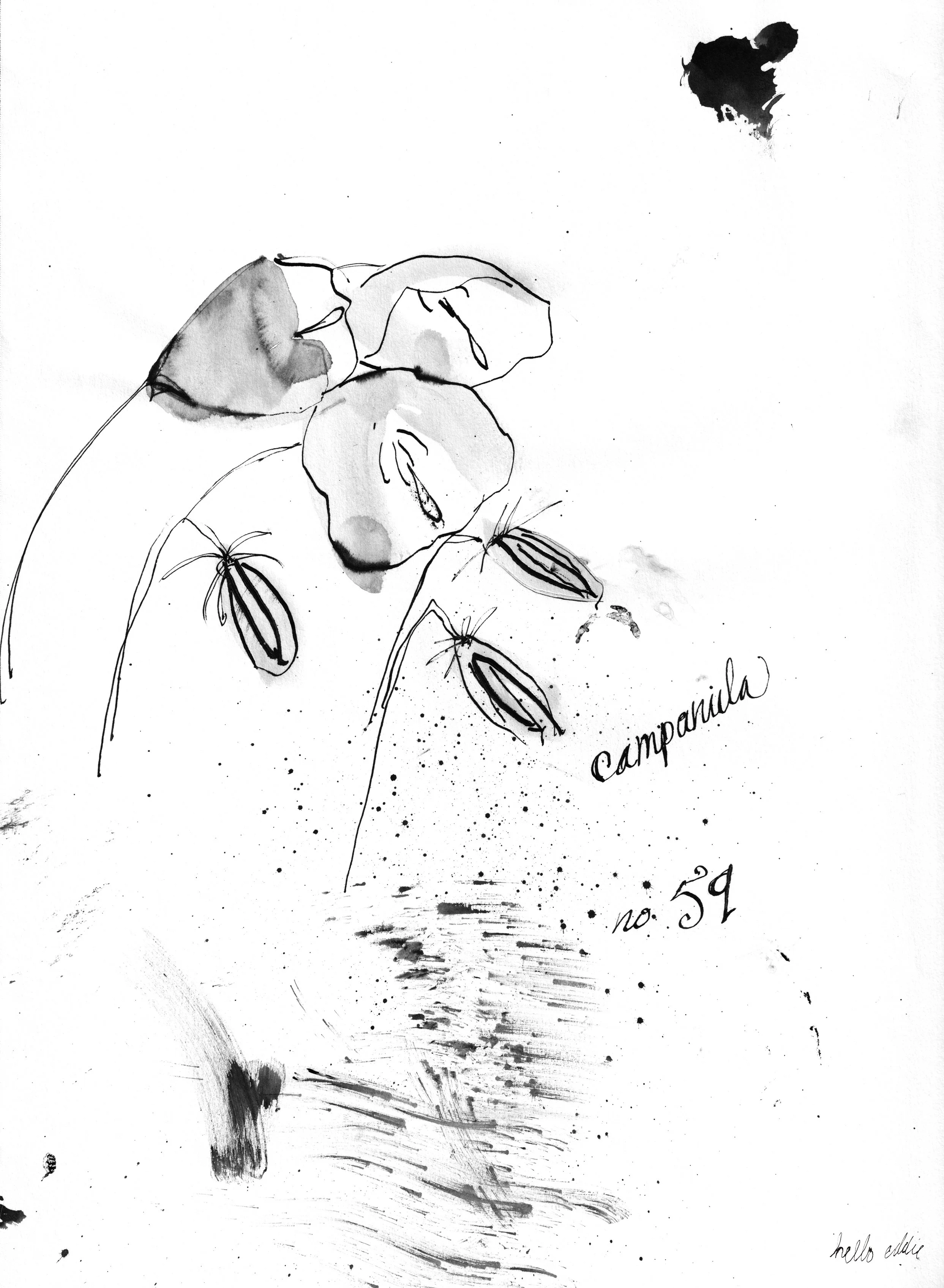 No. 0059 } Campanula