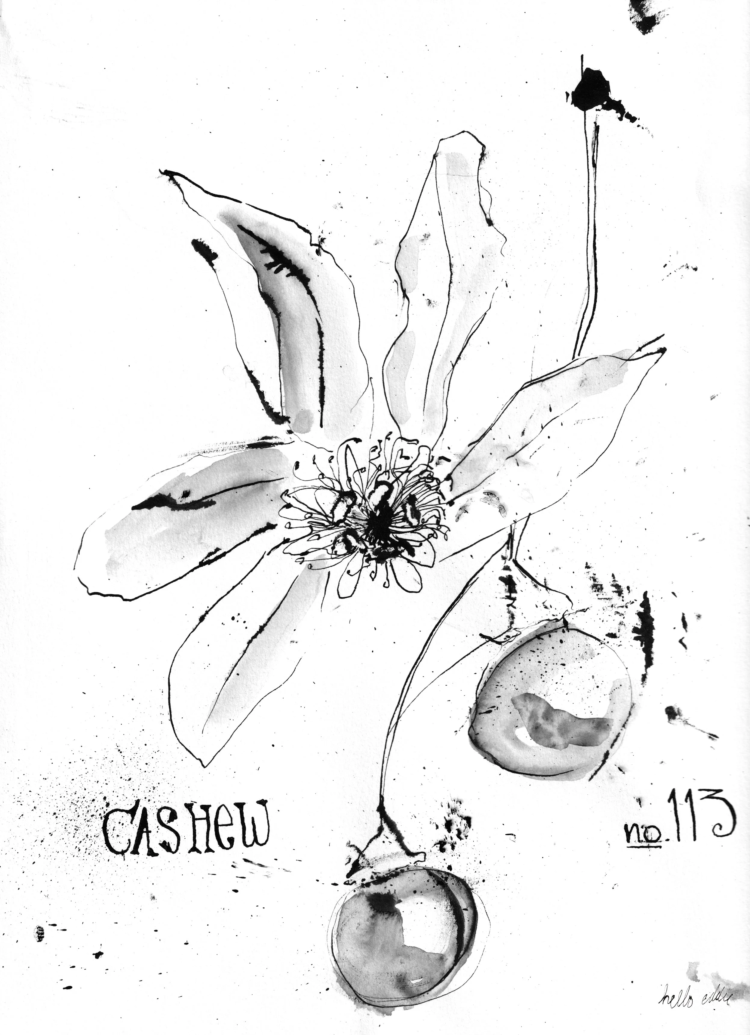No. 0113 } Cashew