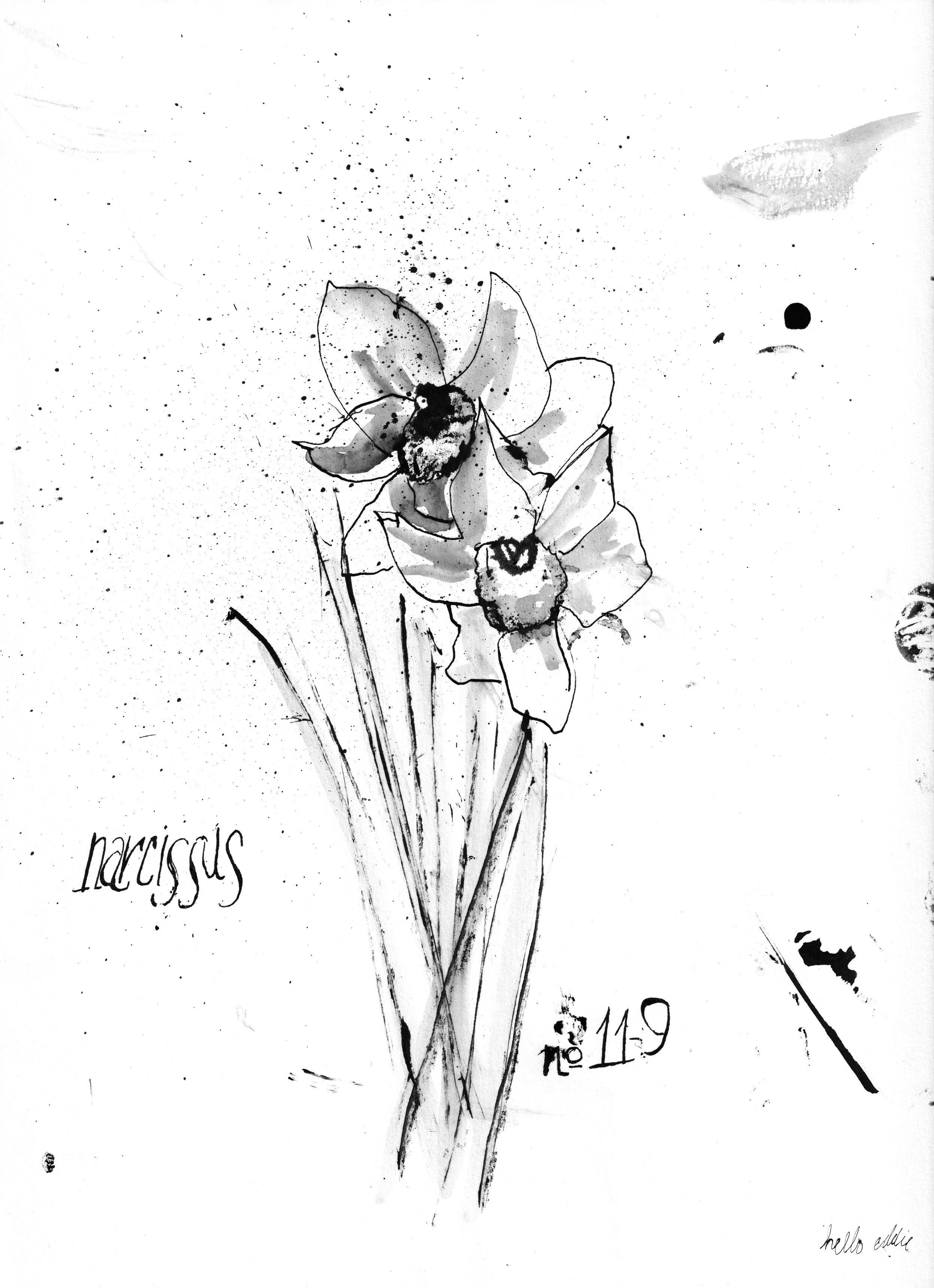No. 0119 } Narcissus
