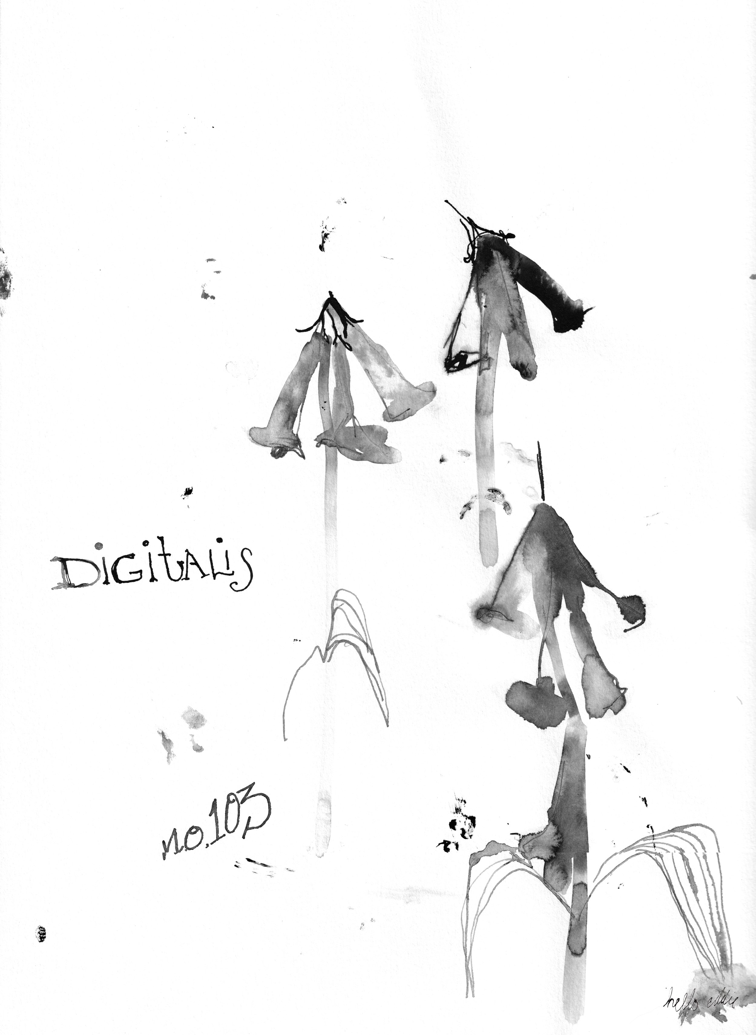 No. 0103 } Digitalis