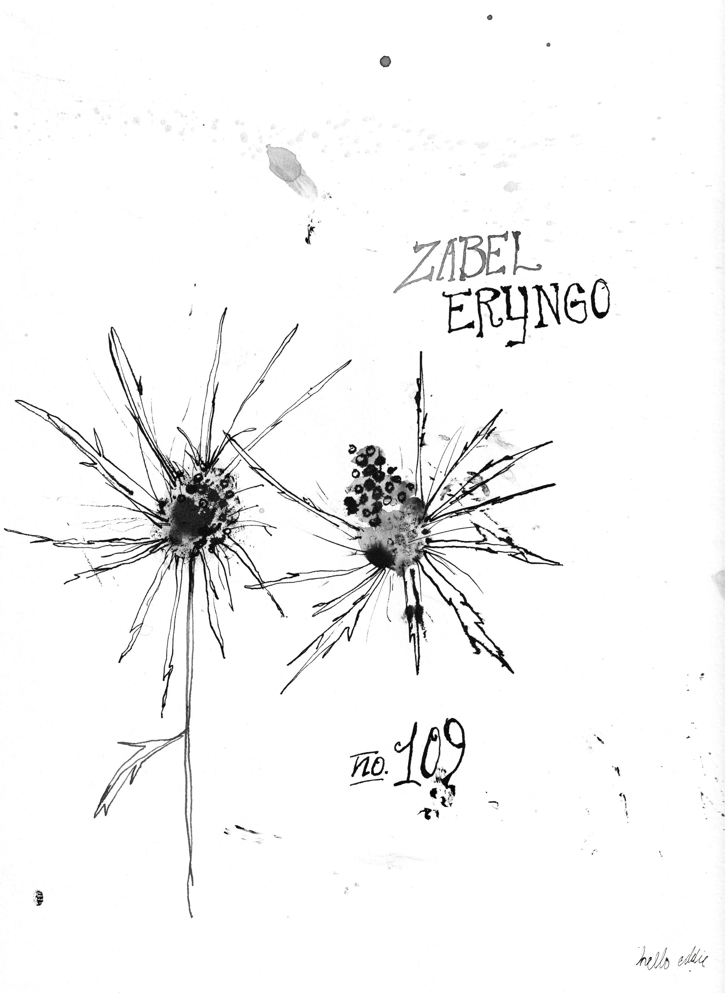 No. 0109 } Zabel Eryngo