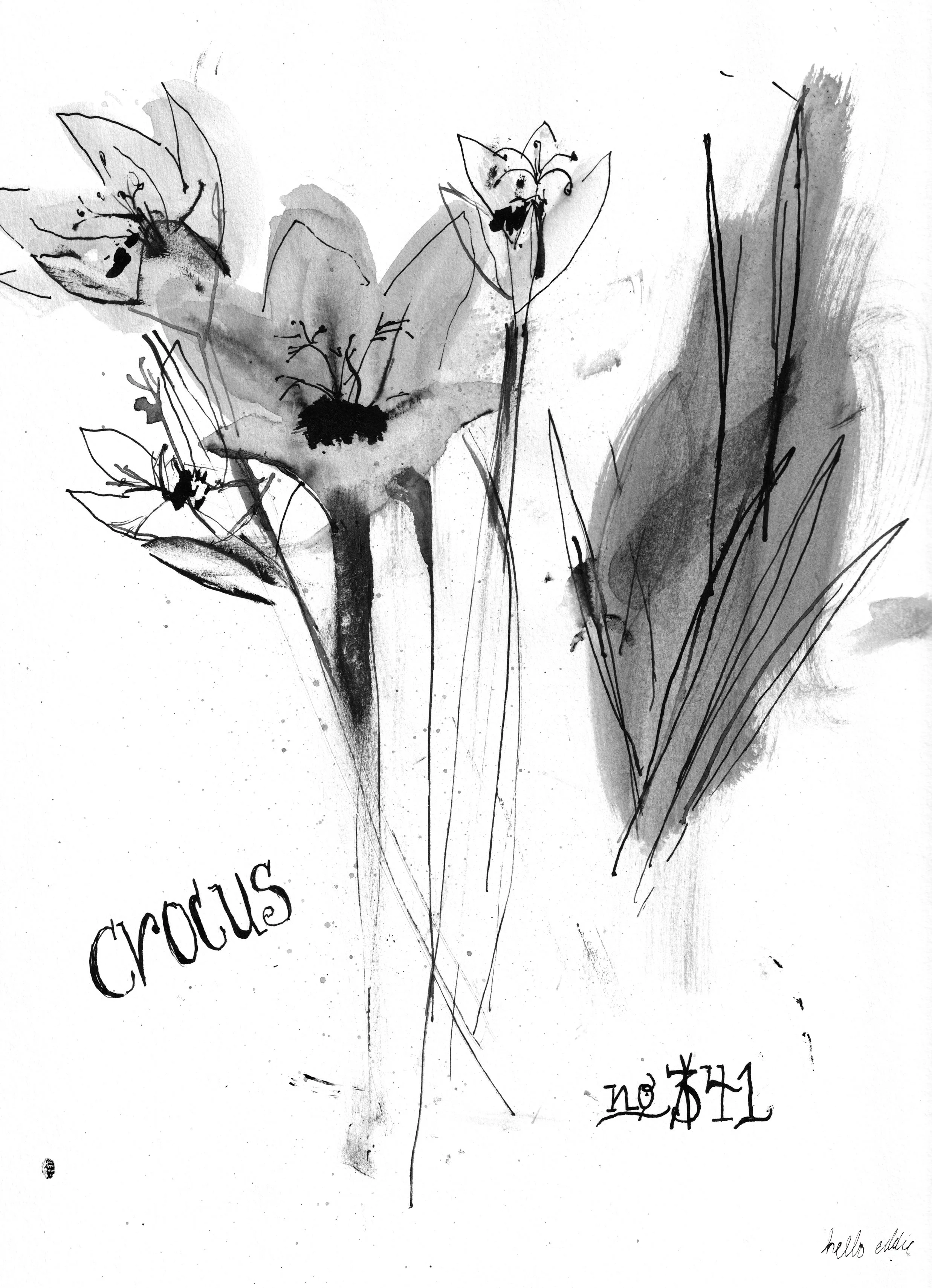No. 0041 } Crocus