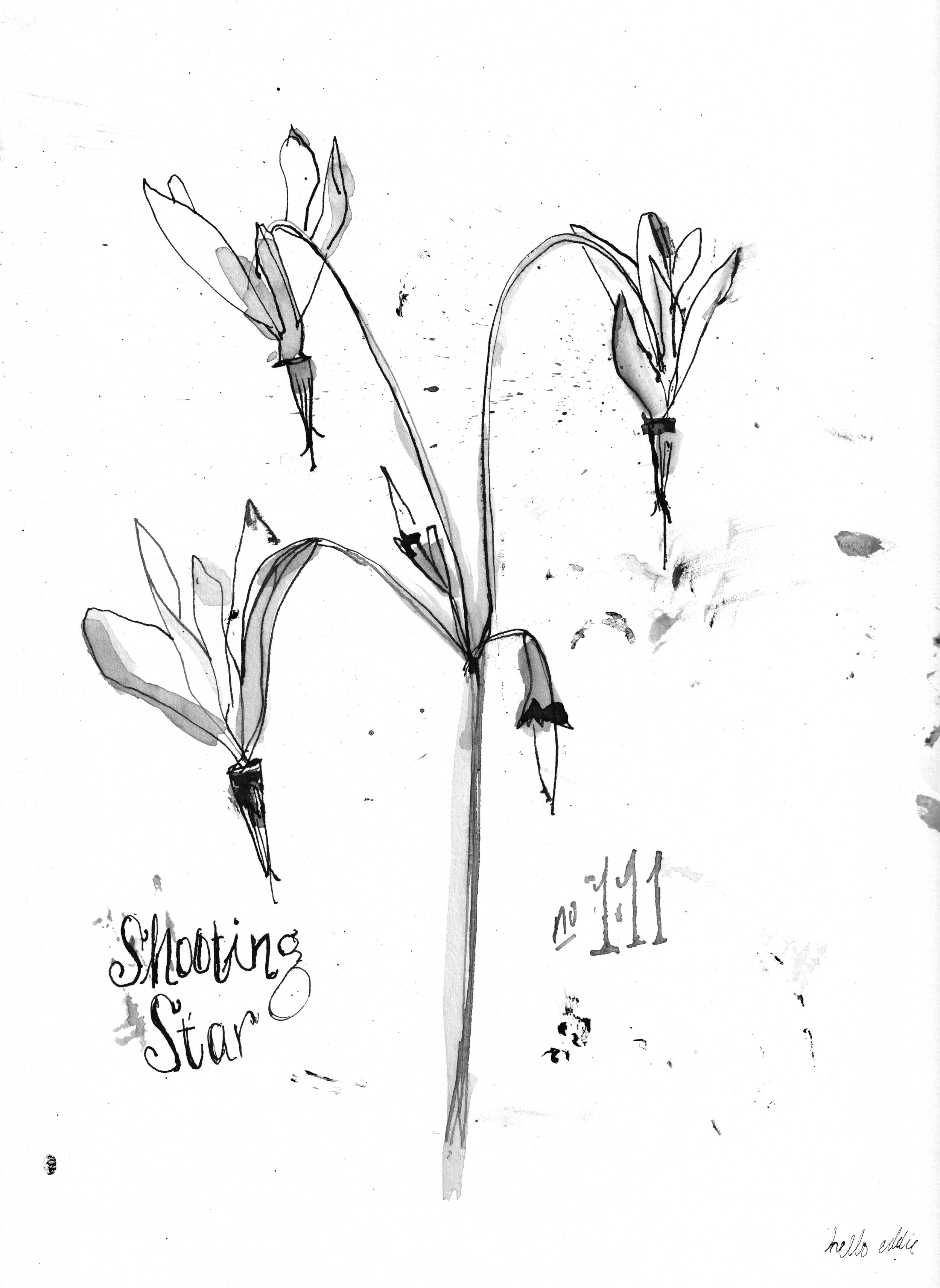 No. 0111 } Shooting Star