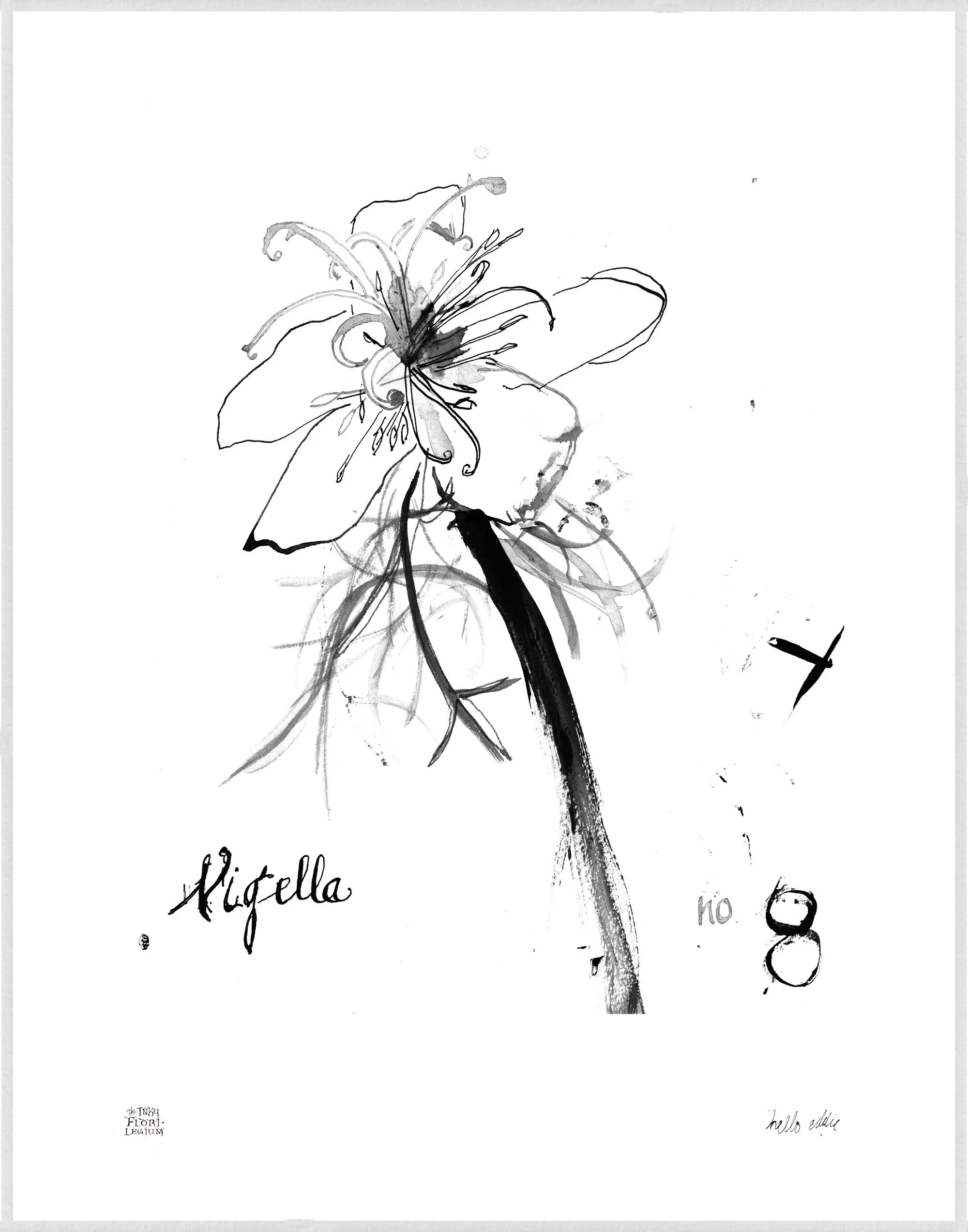 Nigella Botanical Art Black and White Digital Download 11x14 Number 08