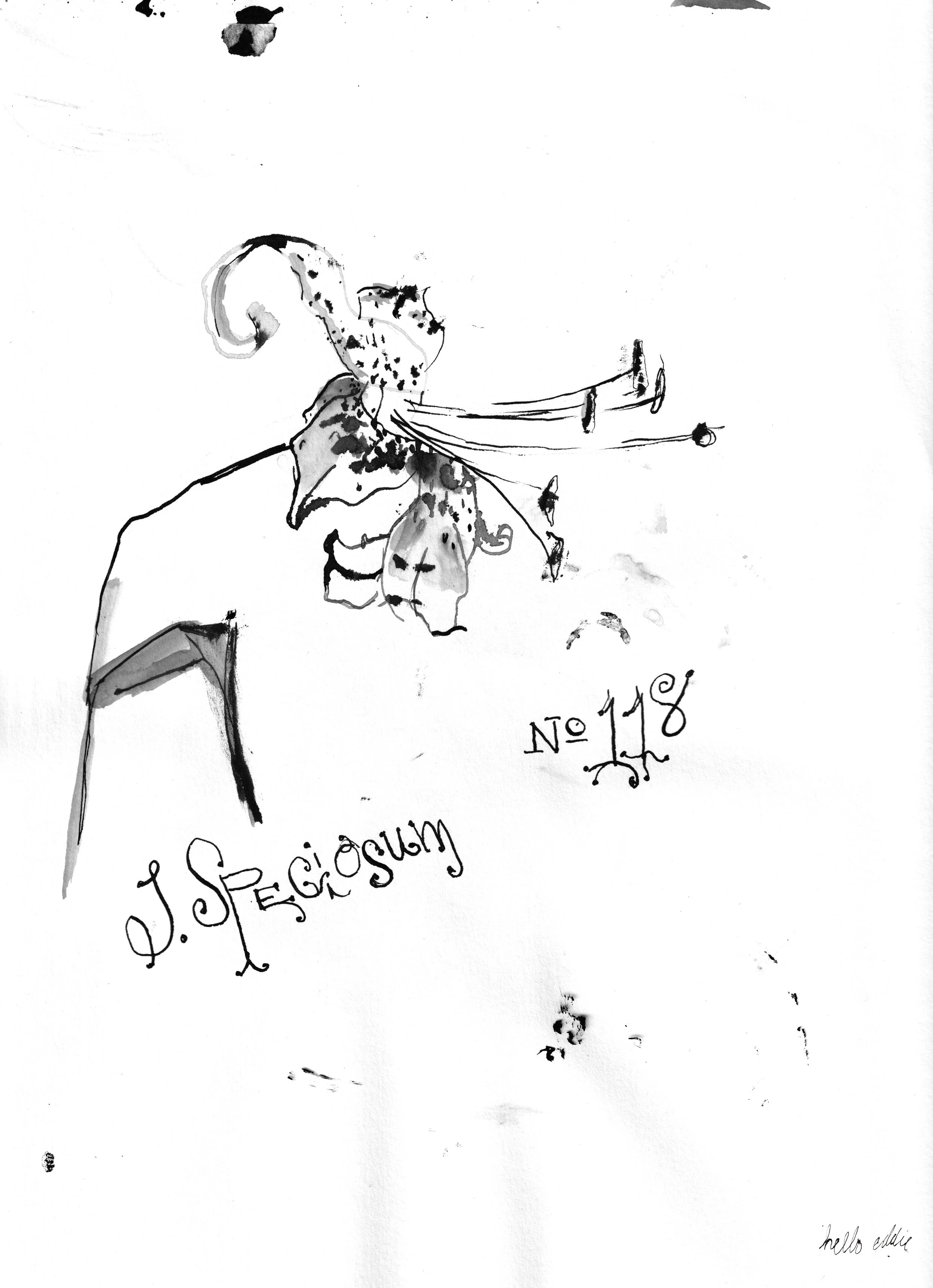 No. 0118 } L. Speciosum
