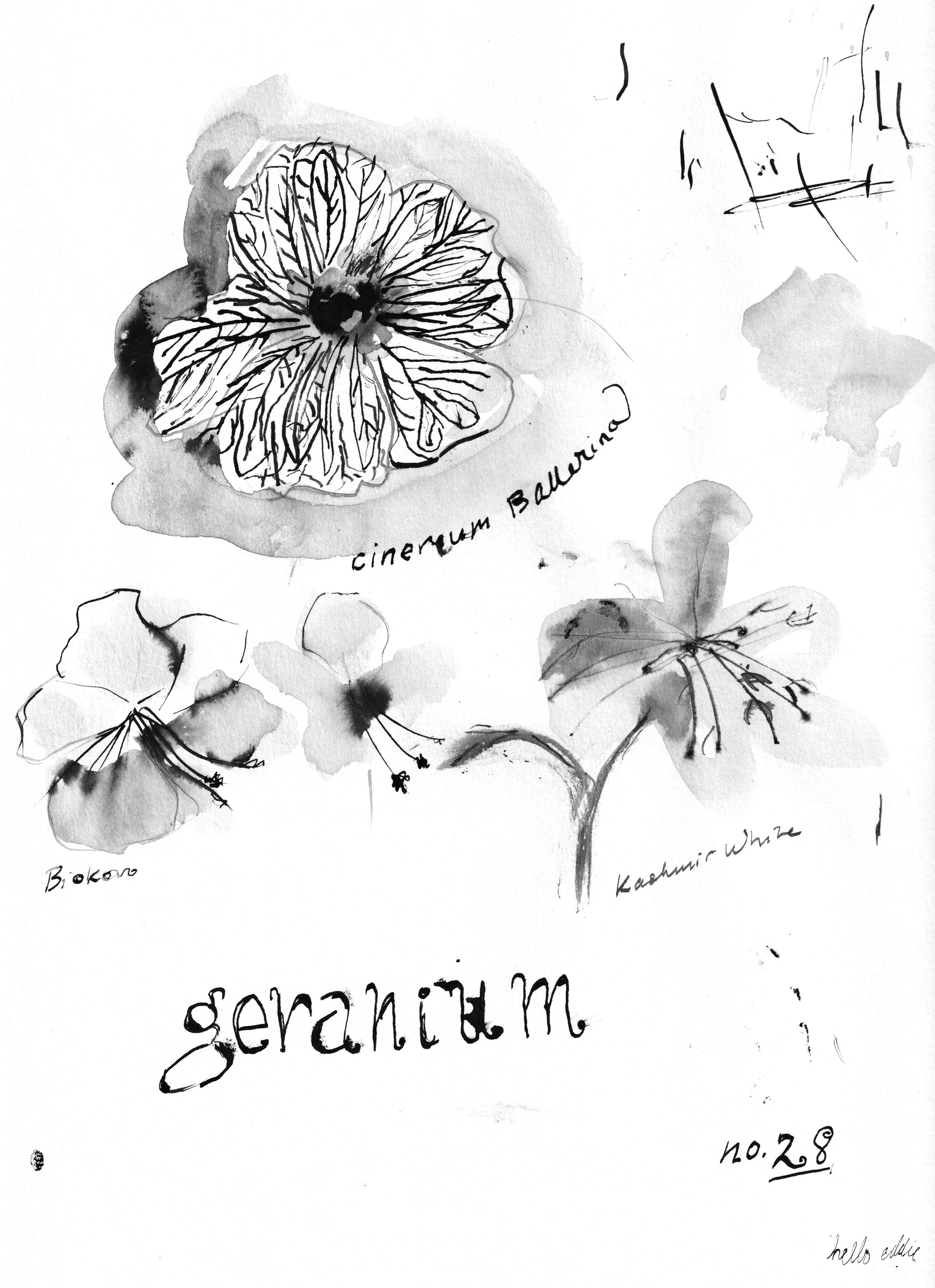 No. 0028 } Geranium