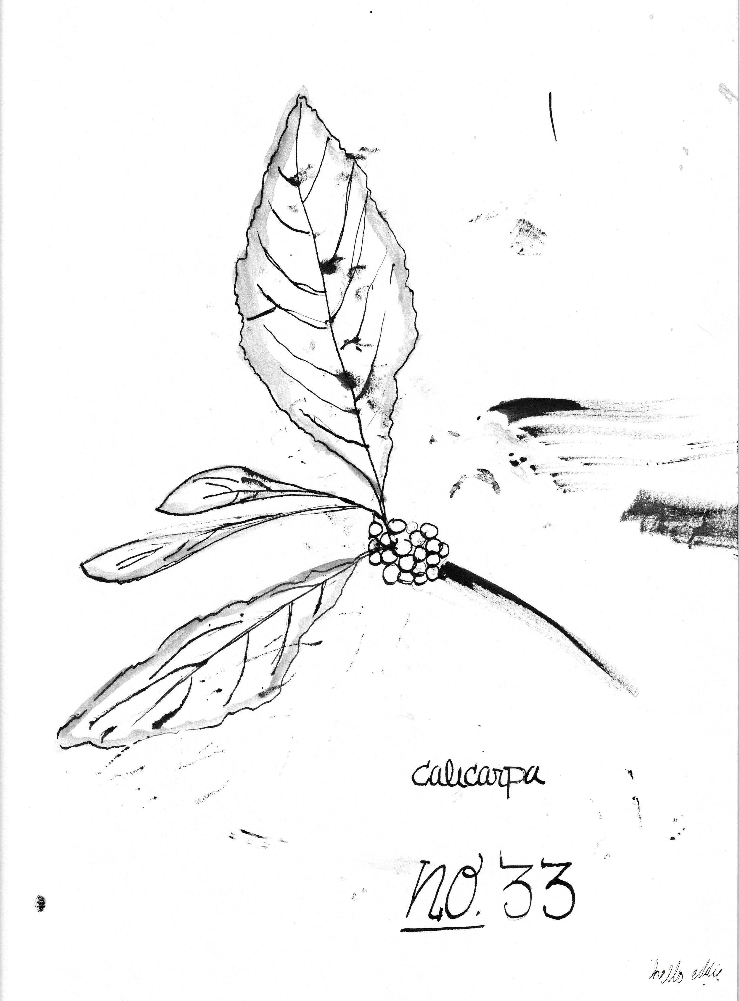 No. 0033 } Callicarpa