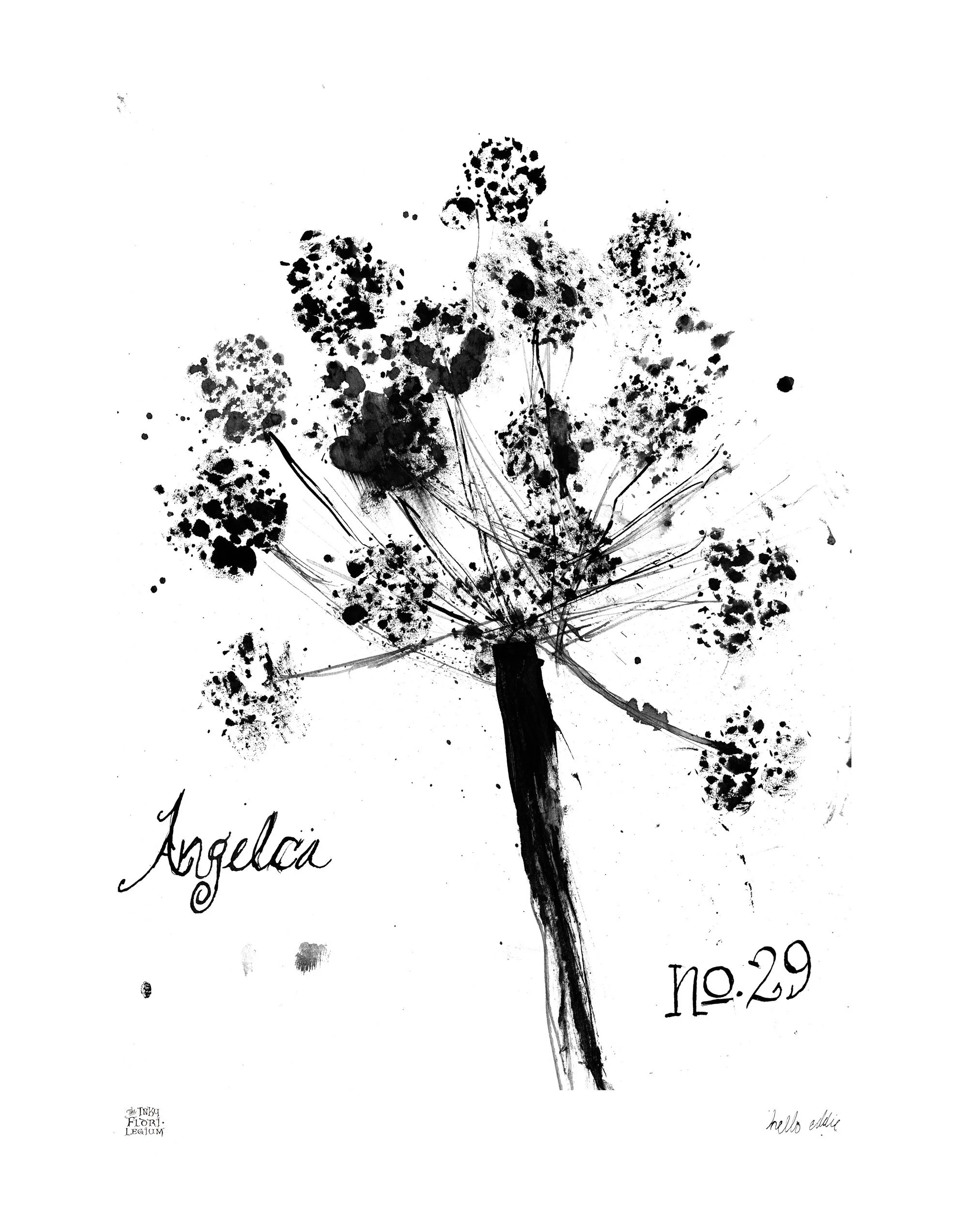 Angelica Botanical Art Black and White Digital Download 11x14 Number 29