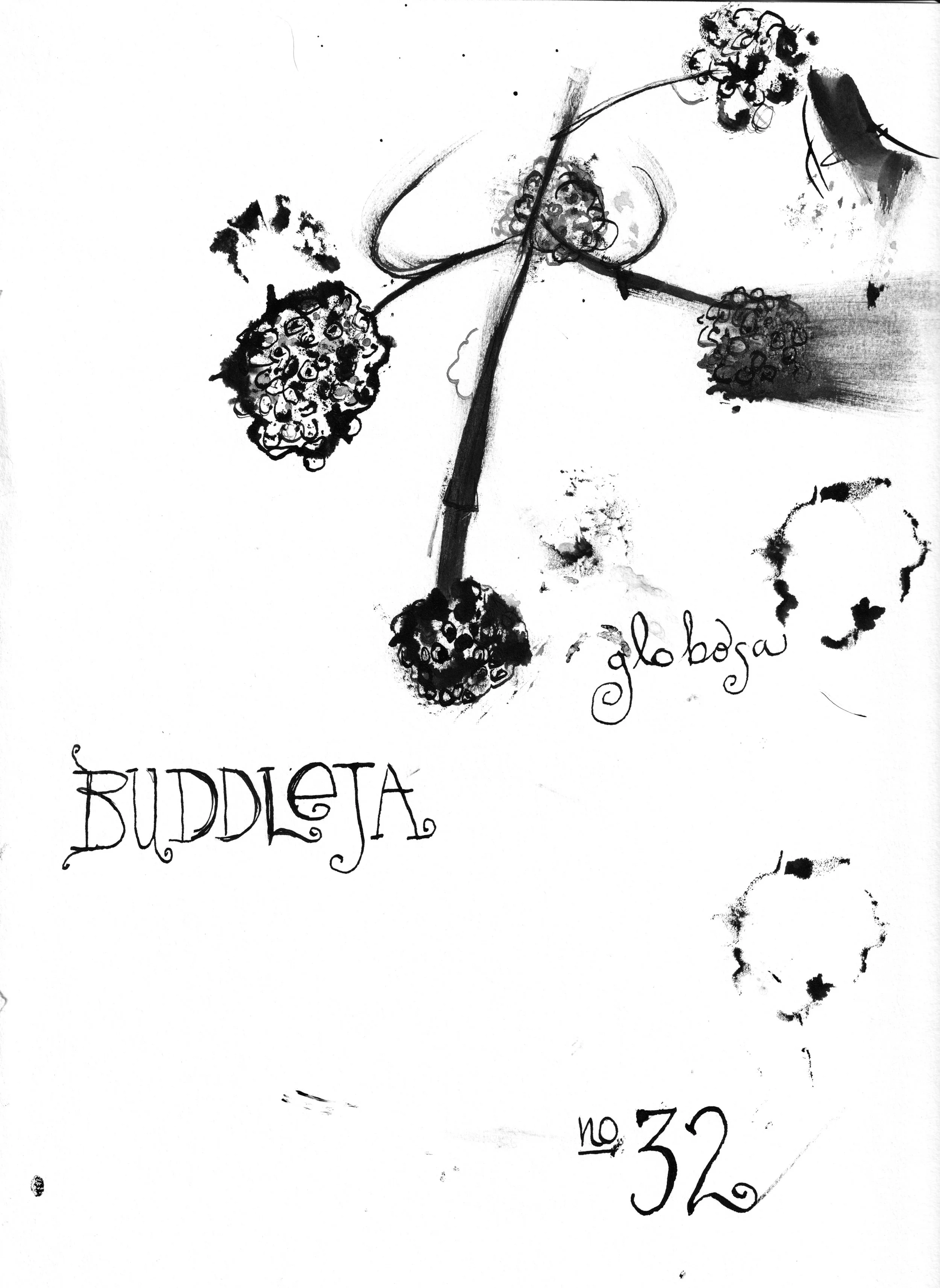 No. 0032 } Buddleja