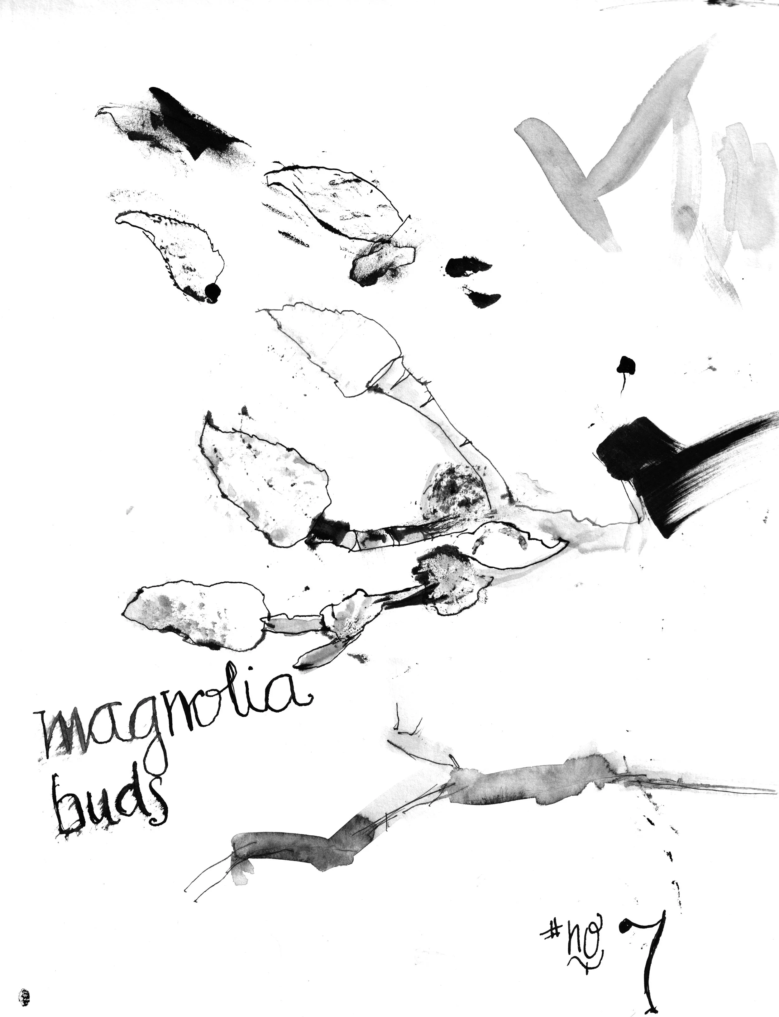 No. 0007 } Magnolia Buds