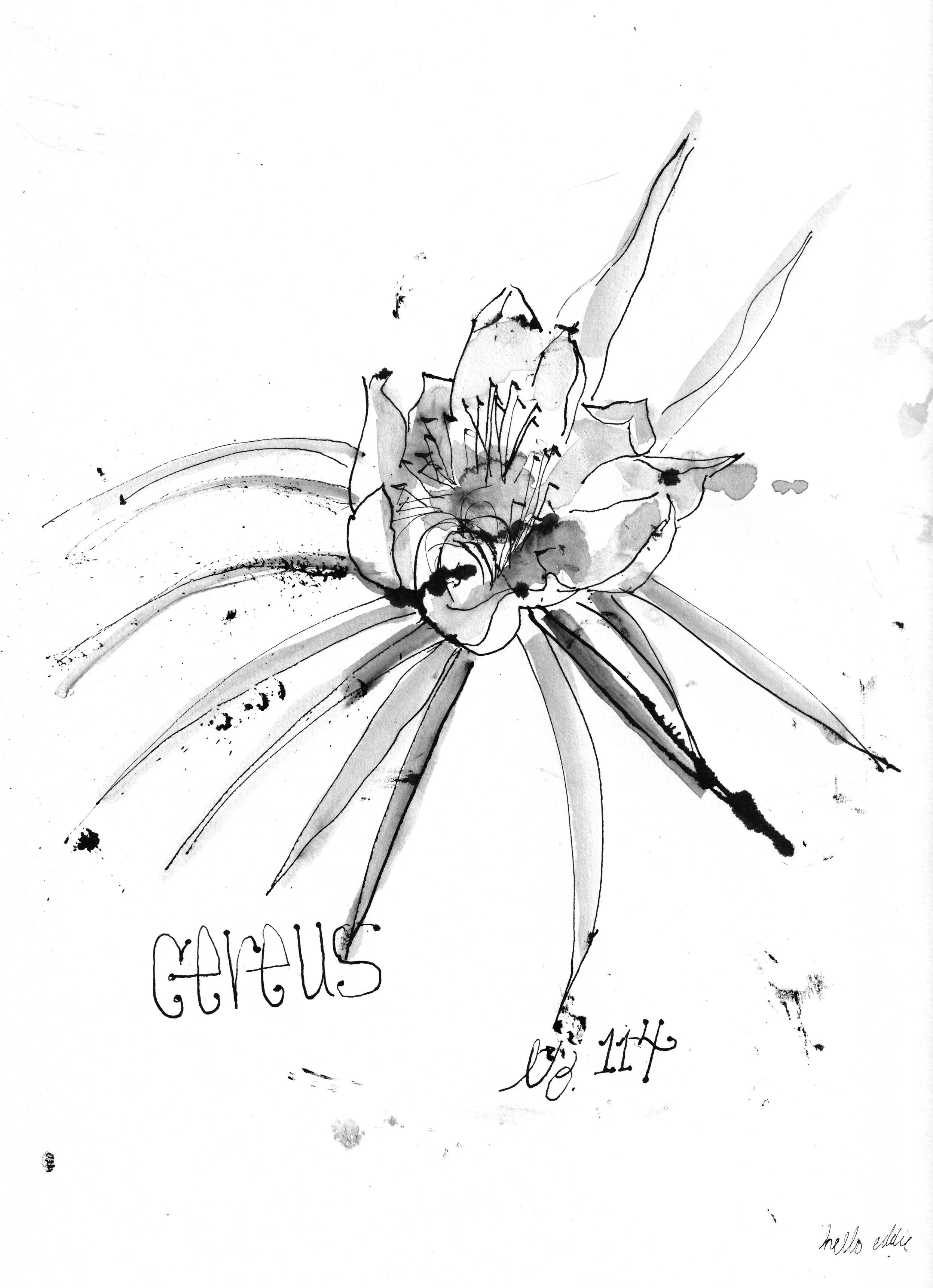 No. 0114 } Cereus