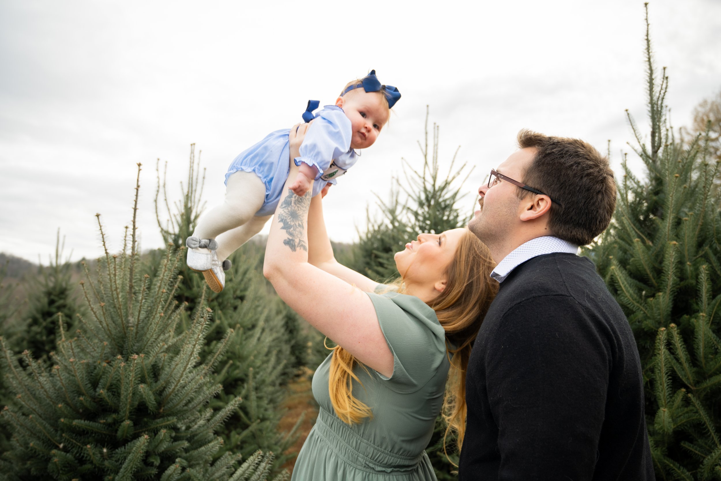 Copy of treefarm-066.jpg