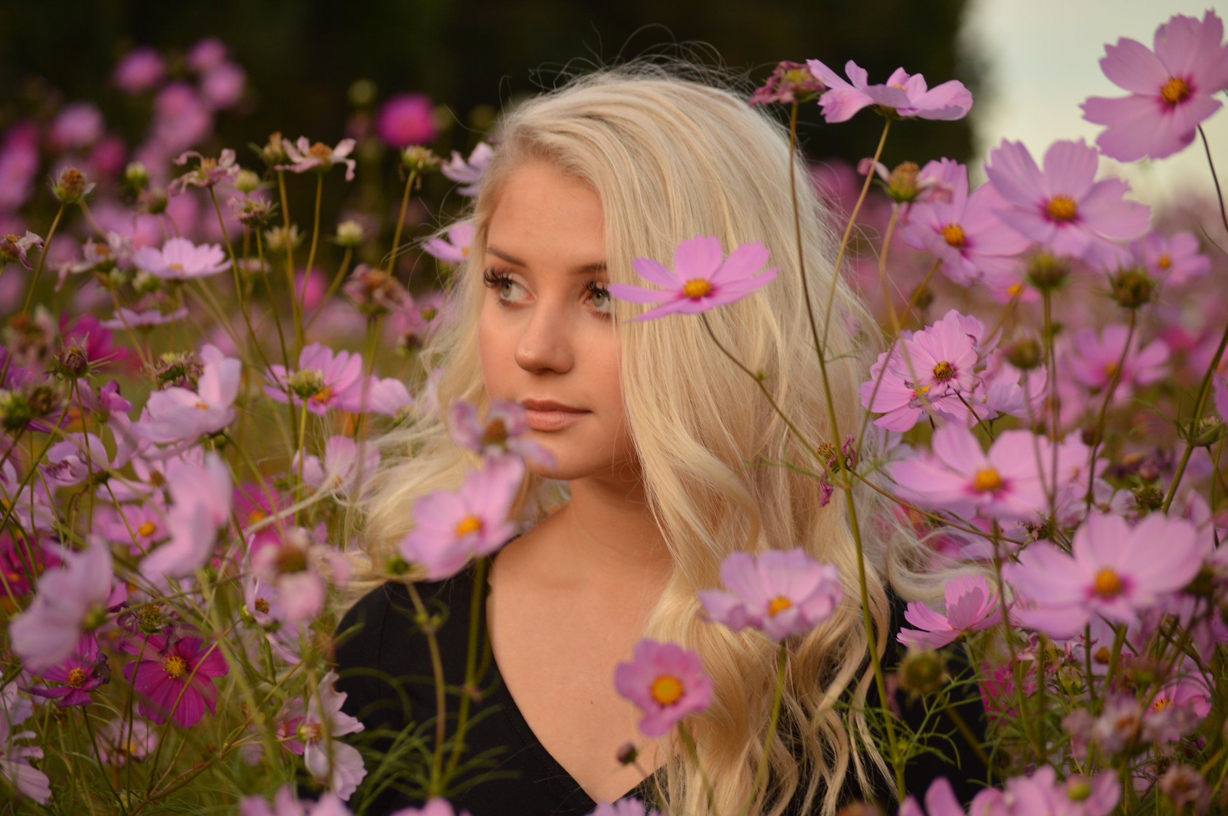 Copy of DSC_0170.jpg