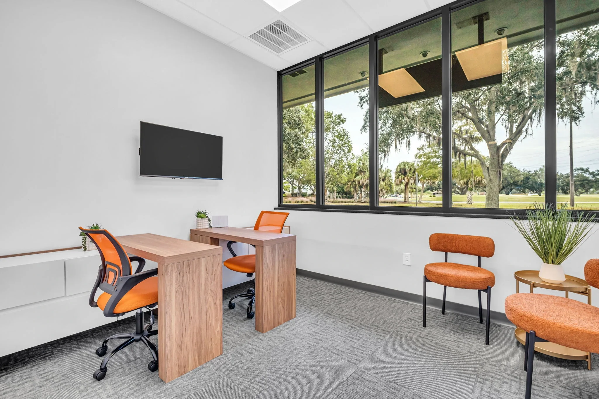 Modern office with two wooden desks, orange office chairs, a wall-mounted TV, large window with views of trees and greenery, gray carpet, and potted plants.