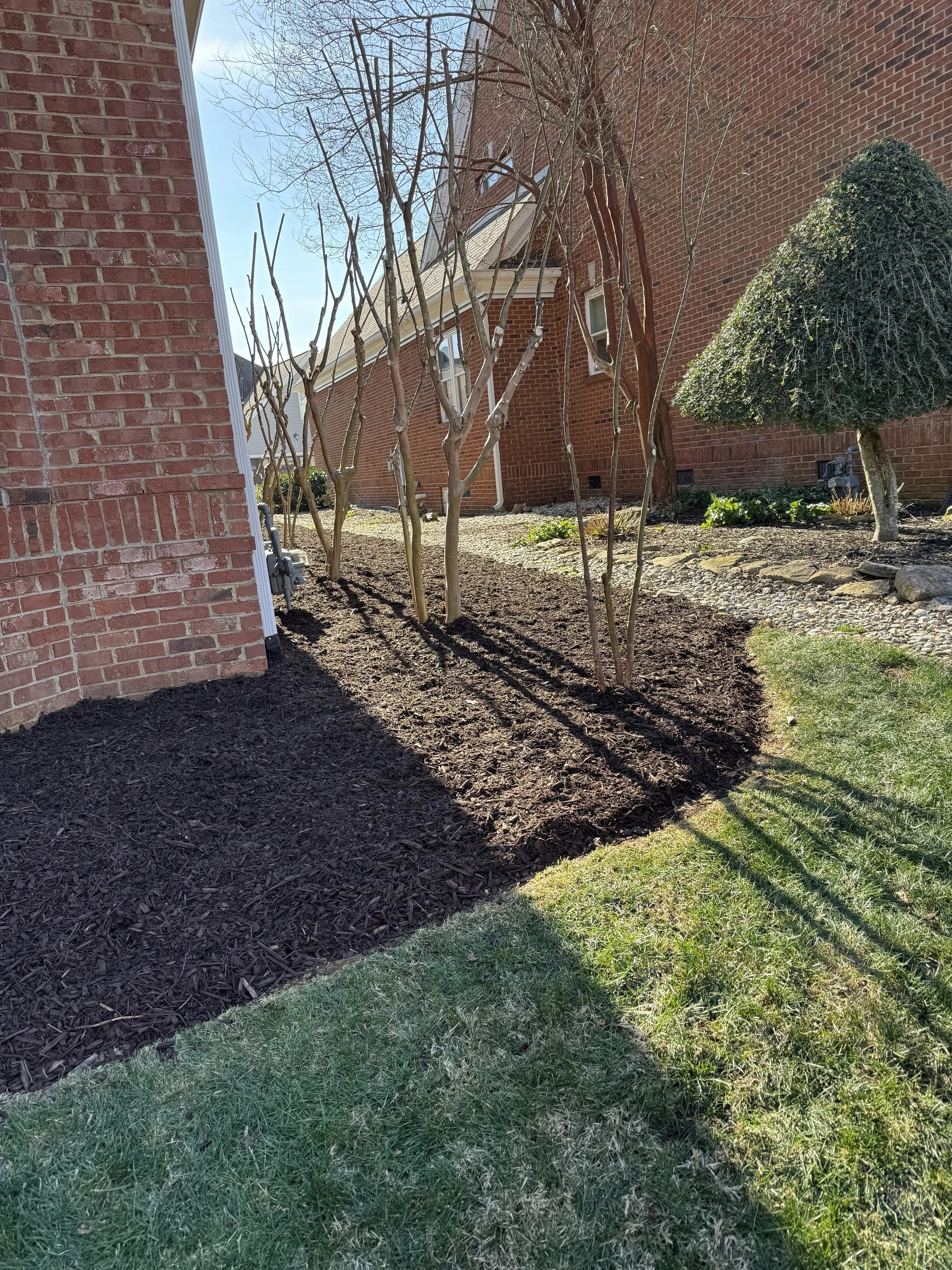 Mulched garden bed with clean borders to improve drainage, reduce weeds, and enhance plant growth.