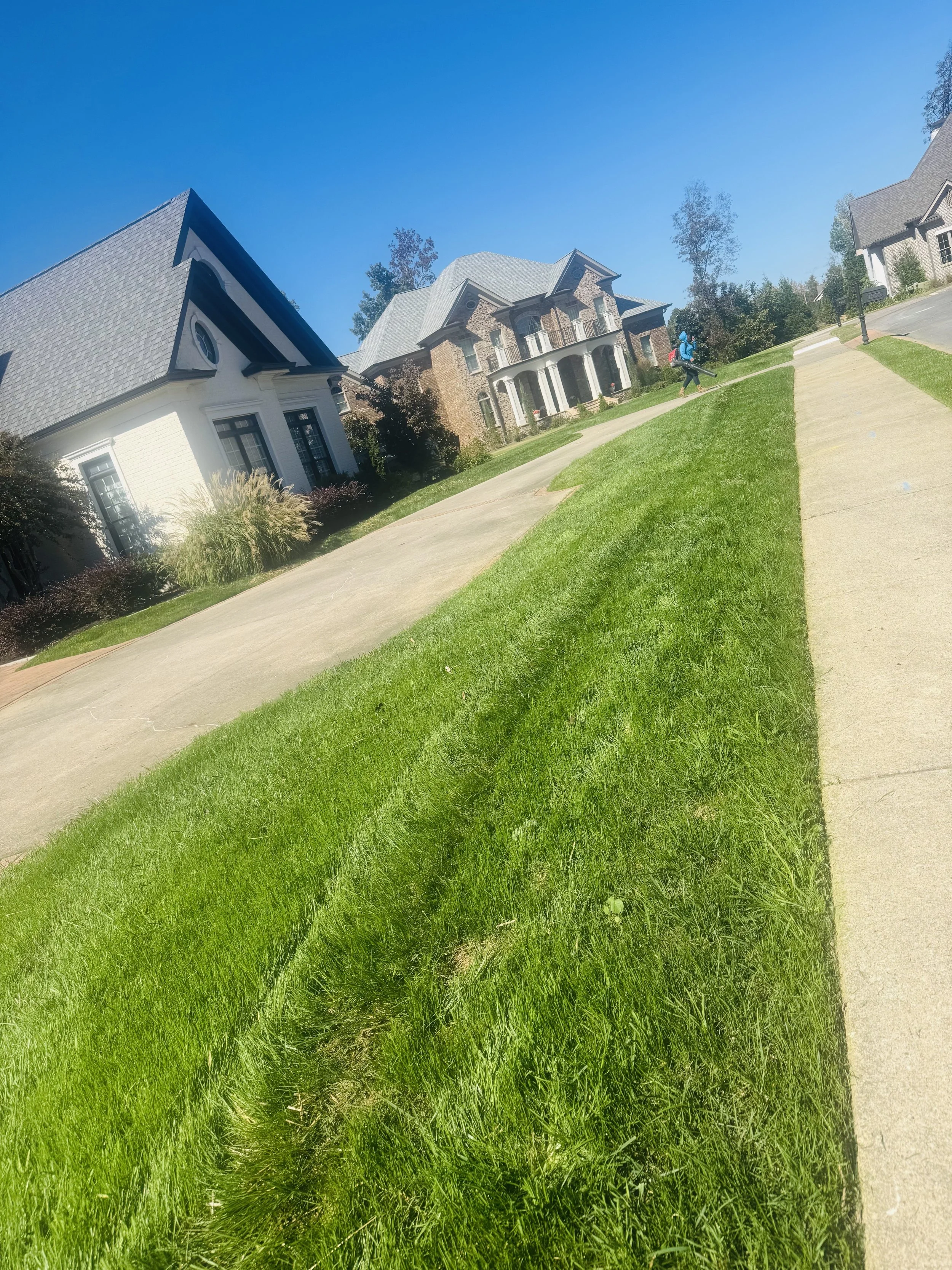 Completed lawn service showcasing thick, green grass and sharp edging around sidewalks.
