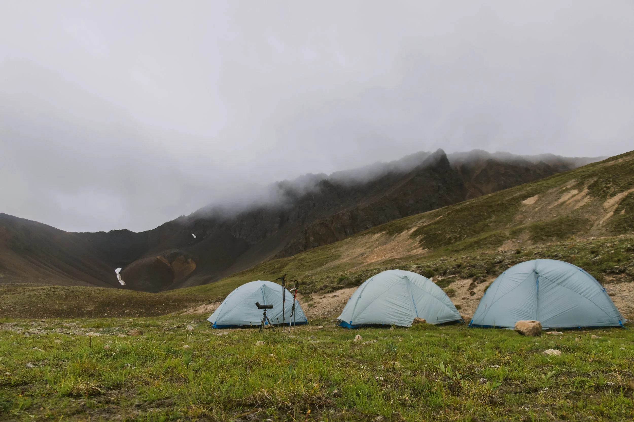 josh's sheep hunt-56.jpg