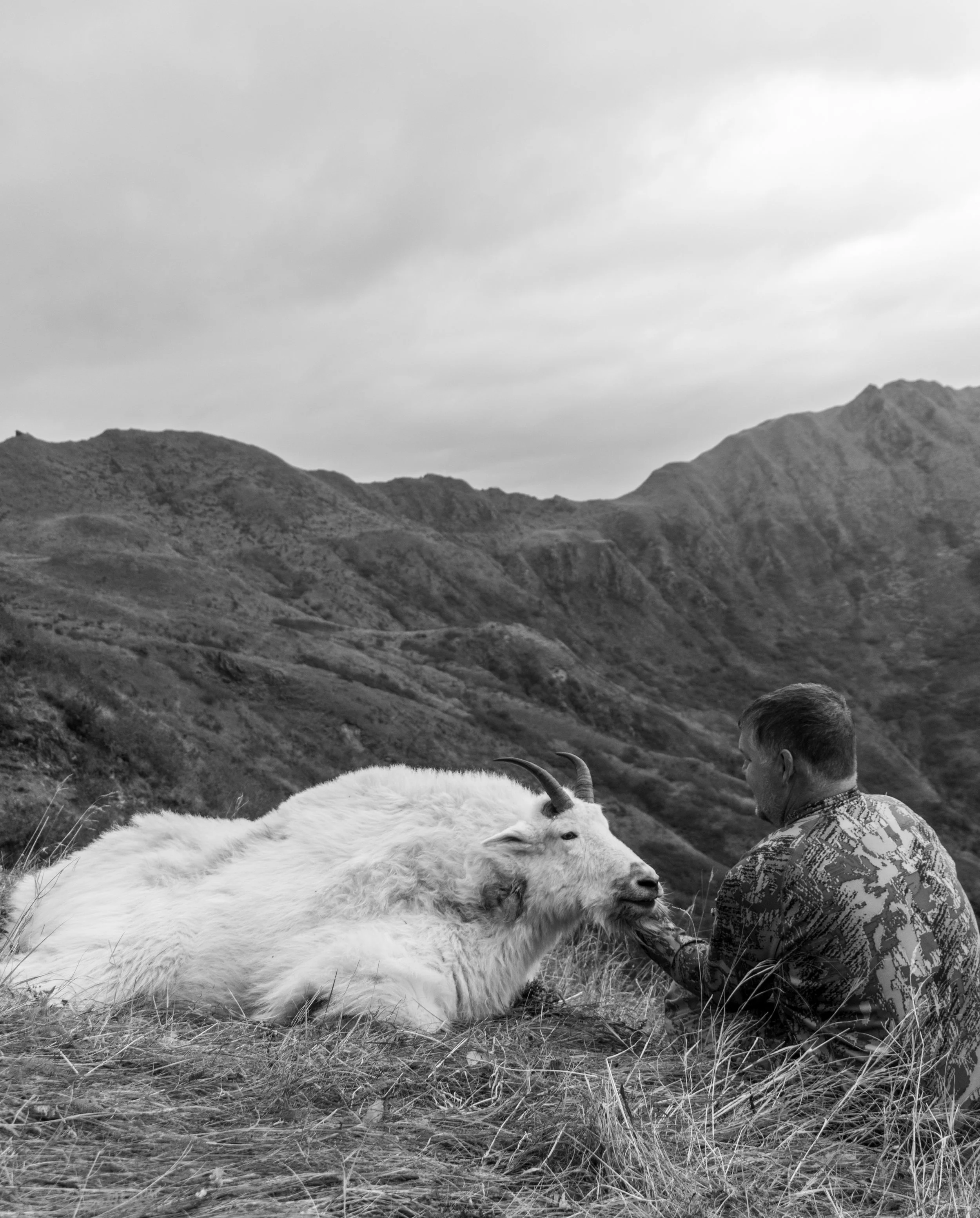 Craigs Goat hunt-1.jpg