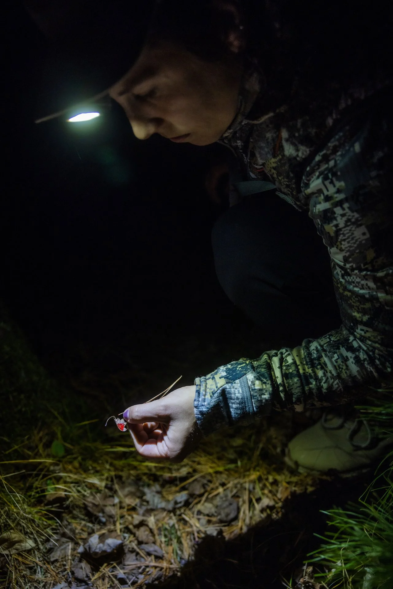 November Hunting-3 copy.JPG