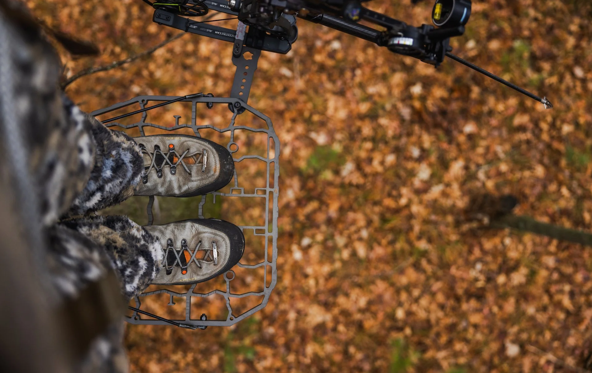 Whitetail 2024 finals-1 copy.jpg