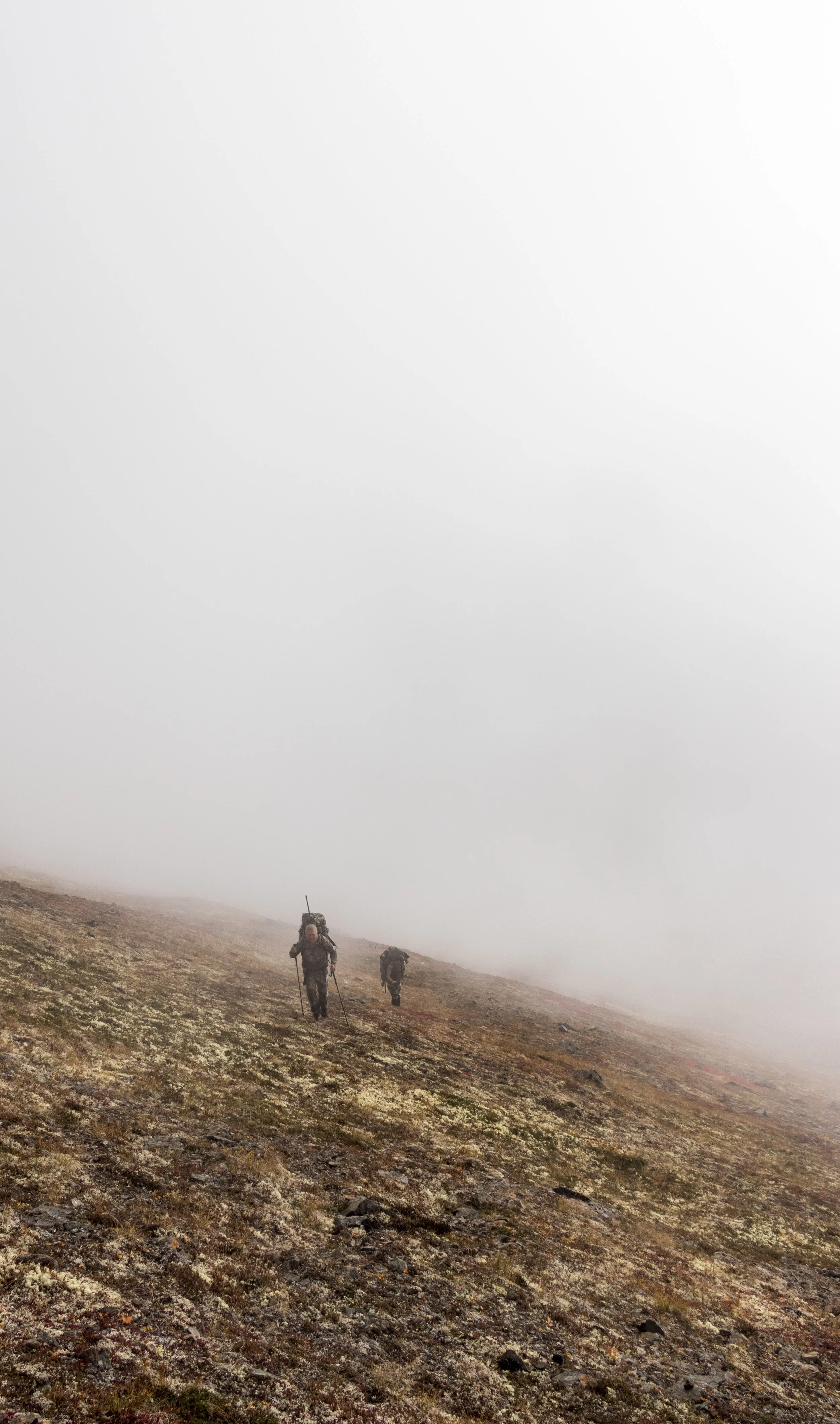 Sheep hunt-Steve H-8.jpg