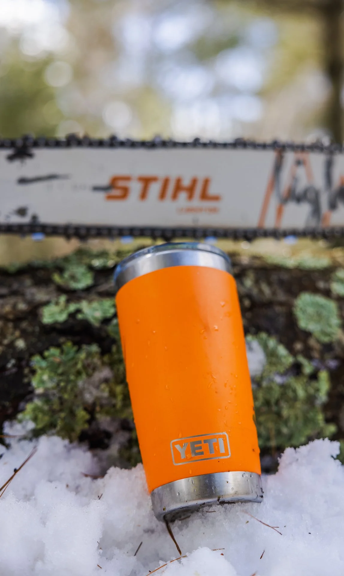 Yeti and STIHL-6 copy.jpg