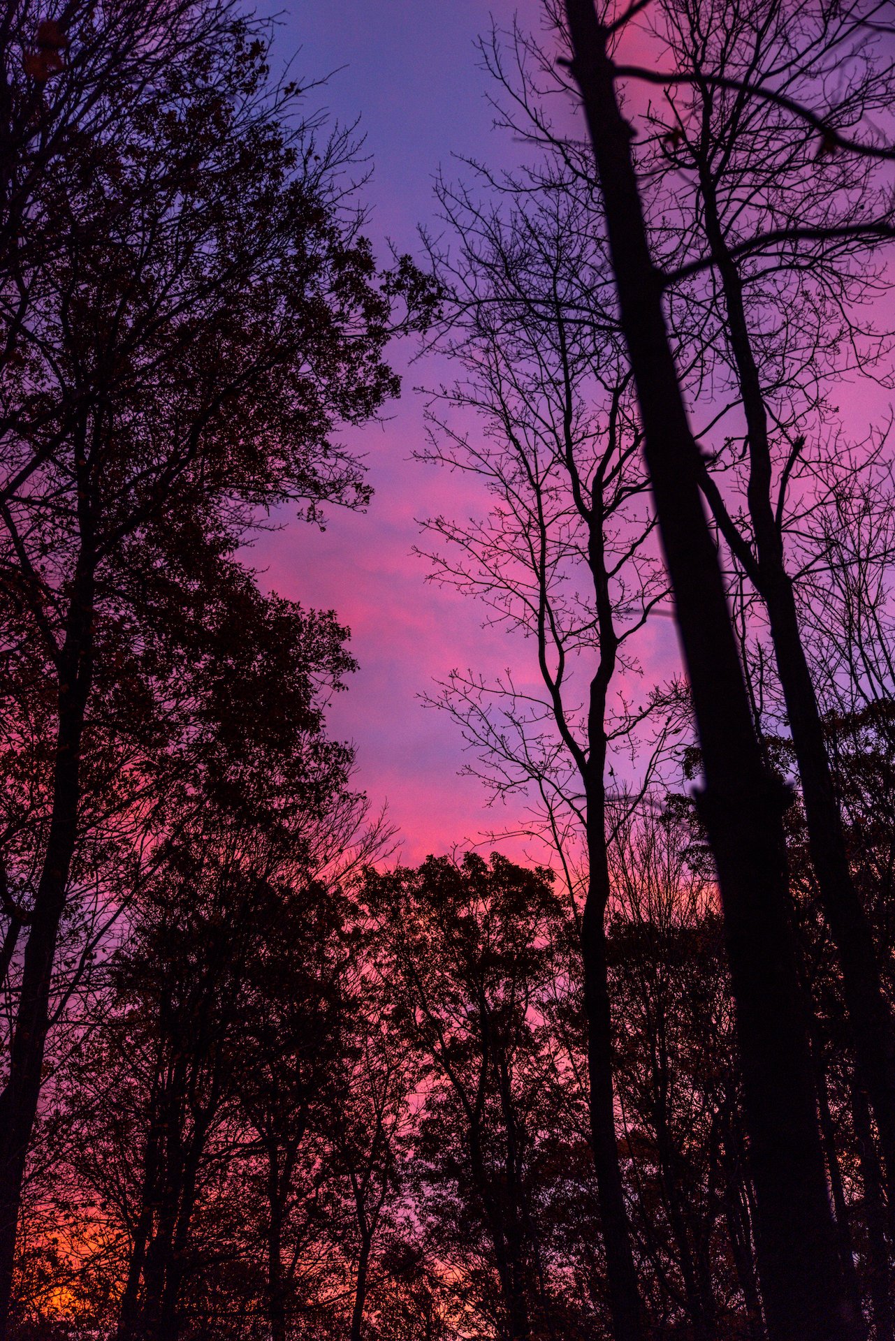 October Hunting-5 copy.JPG