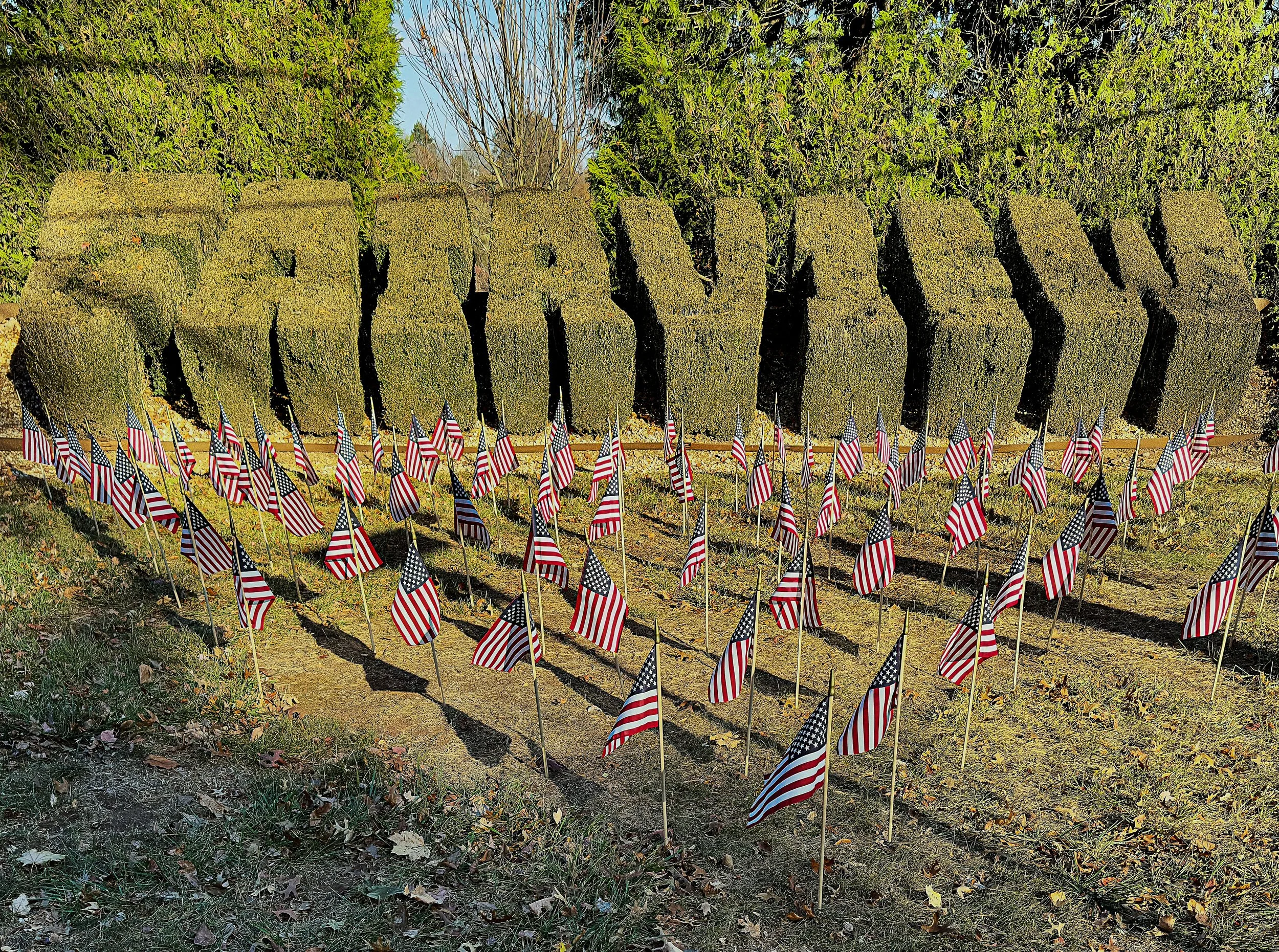 Greg Haworth - Flags-5609.jpg