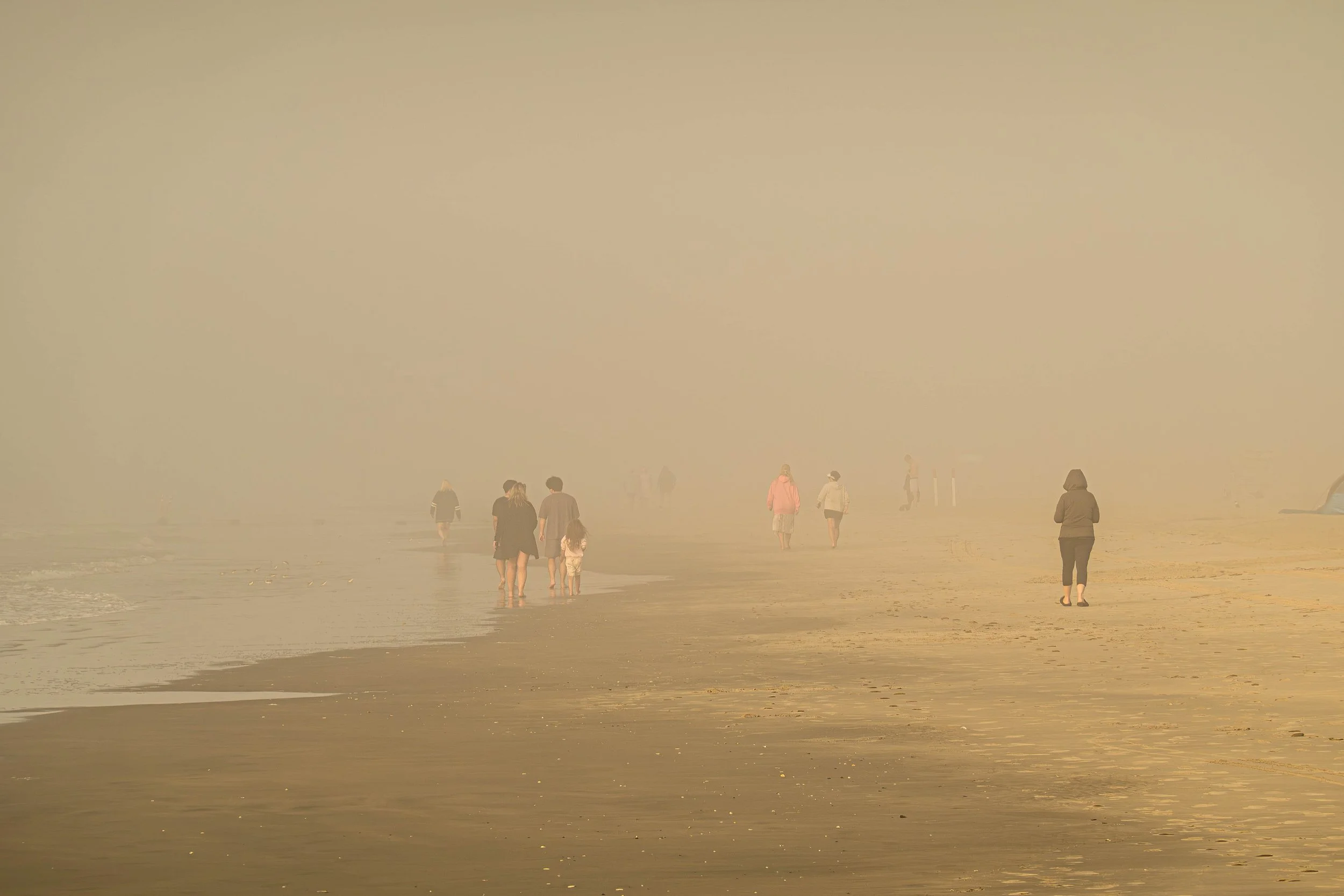 Humans - Foggy Beach.jpg