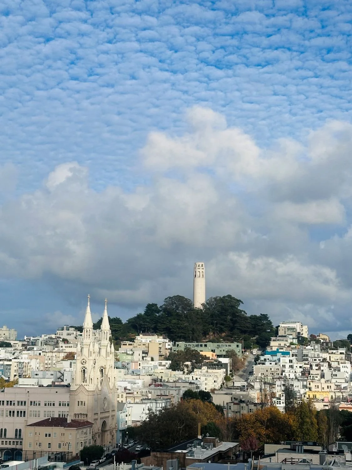 San Francisco skyline